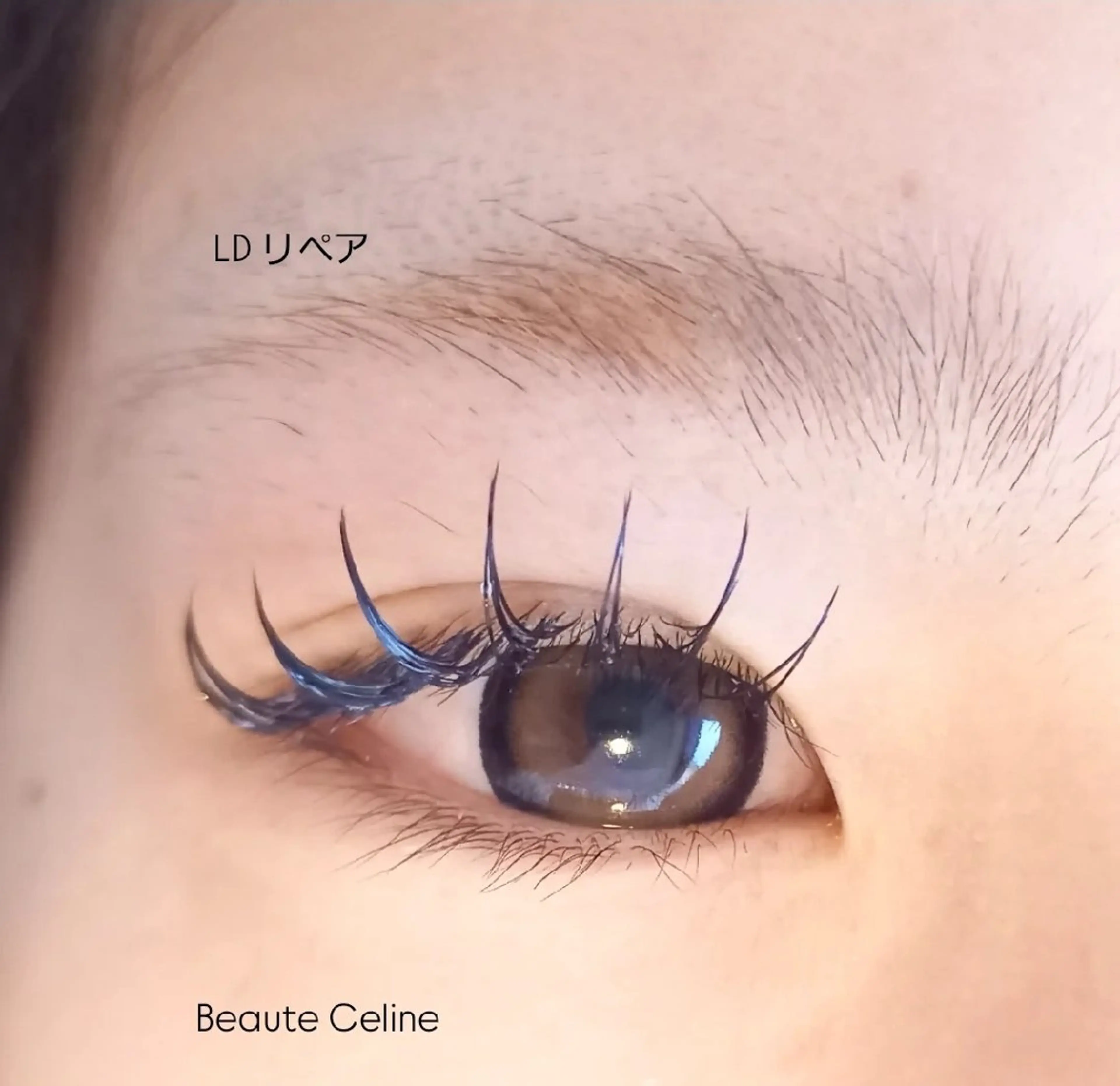 マツエク・マツパ マツエク beaute.celine所属・8時～✨beaute Celine🌛🌹のマツエク・マツパデザイン