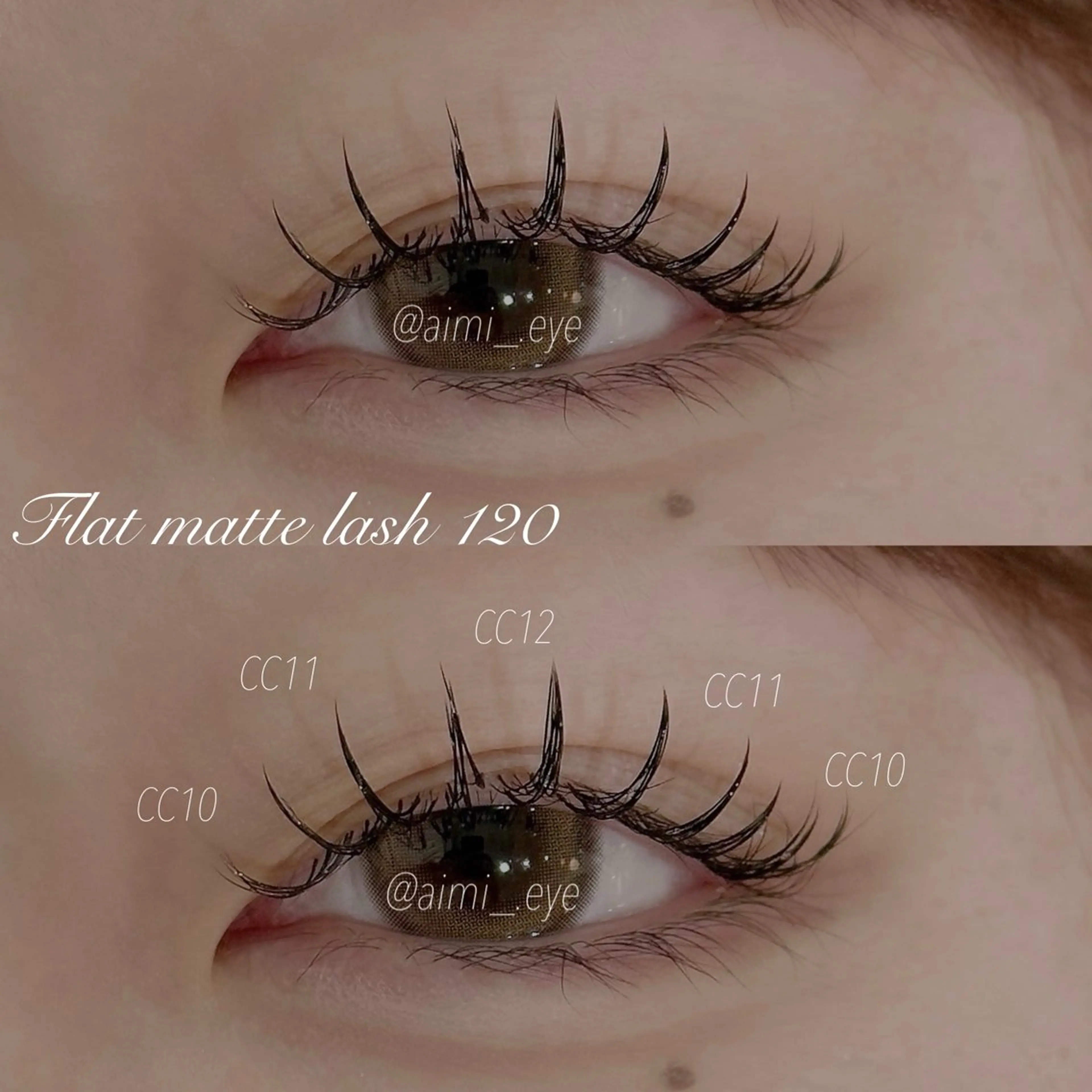 【ご新規様限定✨】🦕フラットマットラッシュ【100本まで】の写真