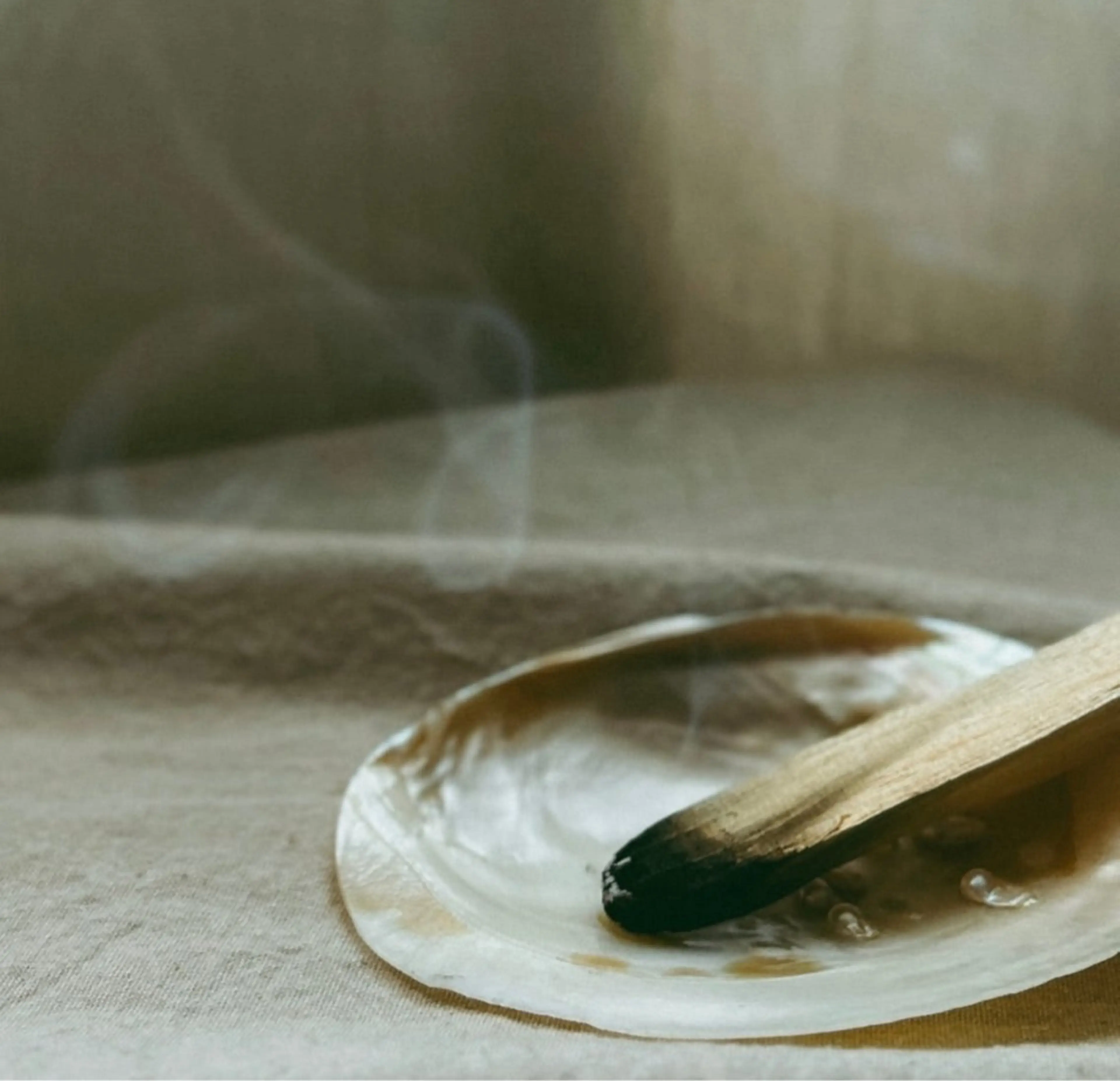 【foi】 natsumi🌼のその他イメージ