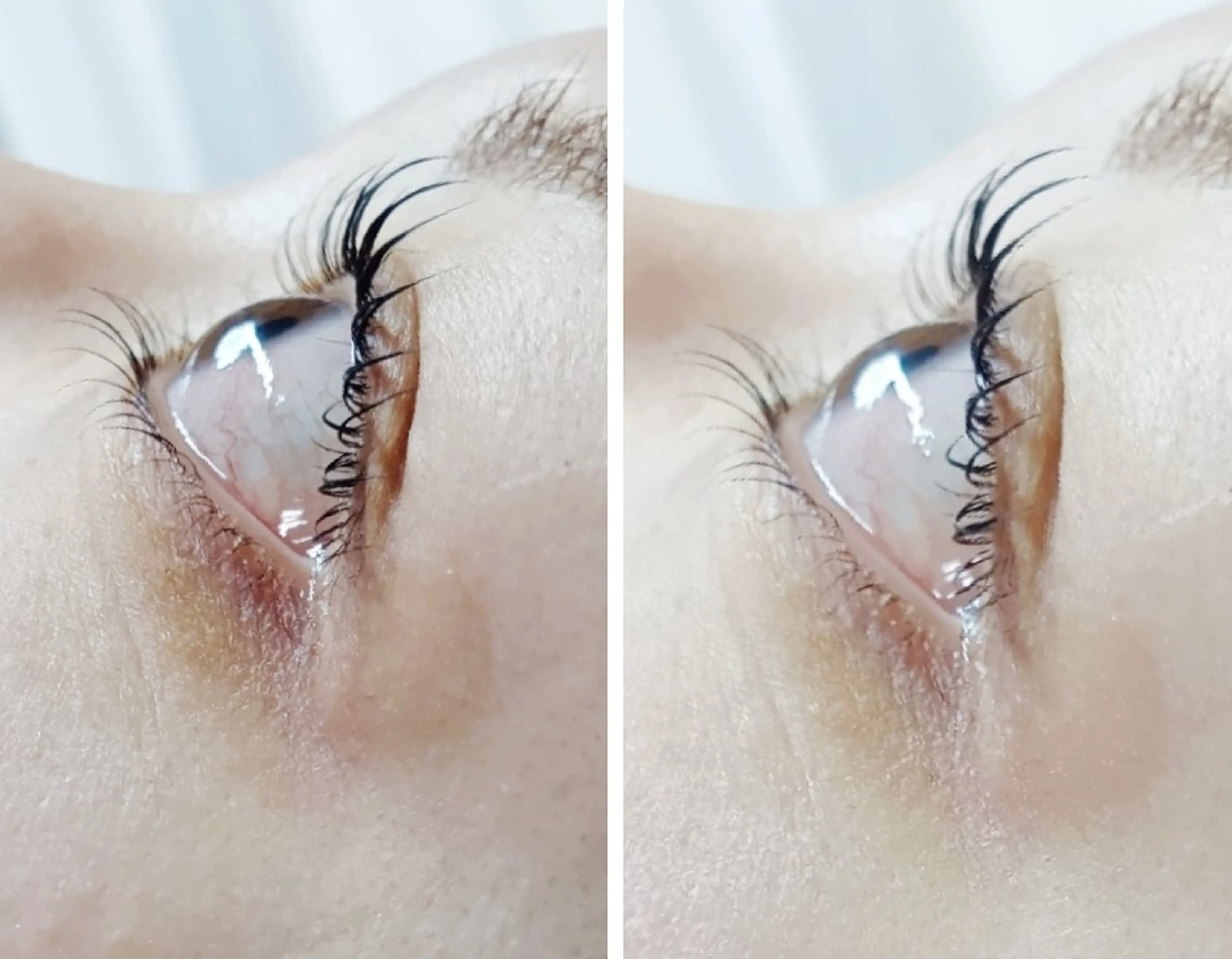 マツエク・マツパ 下まつげエクステ マツパ 🎼グラデーション スタイル札幌♫*⁠✧のマツエク・マツパデザイン