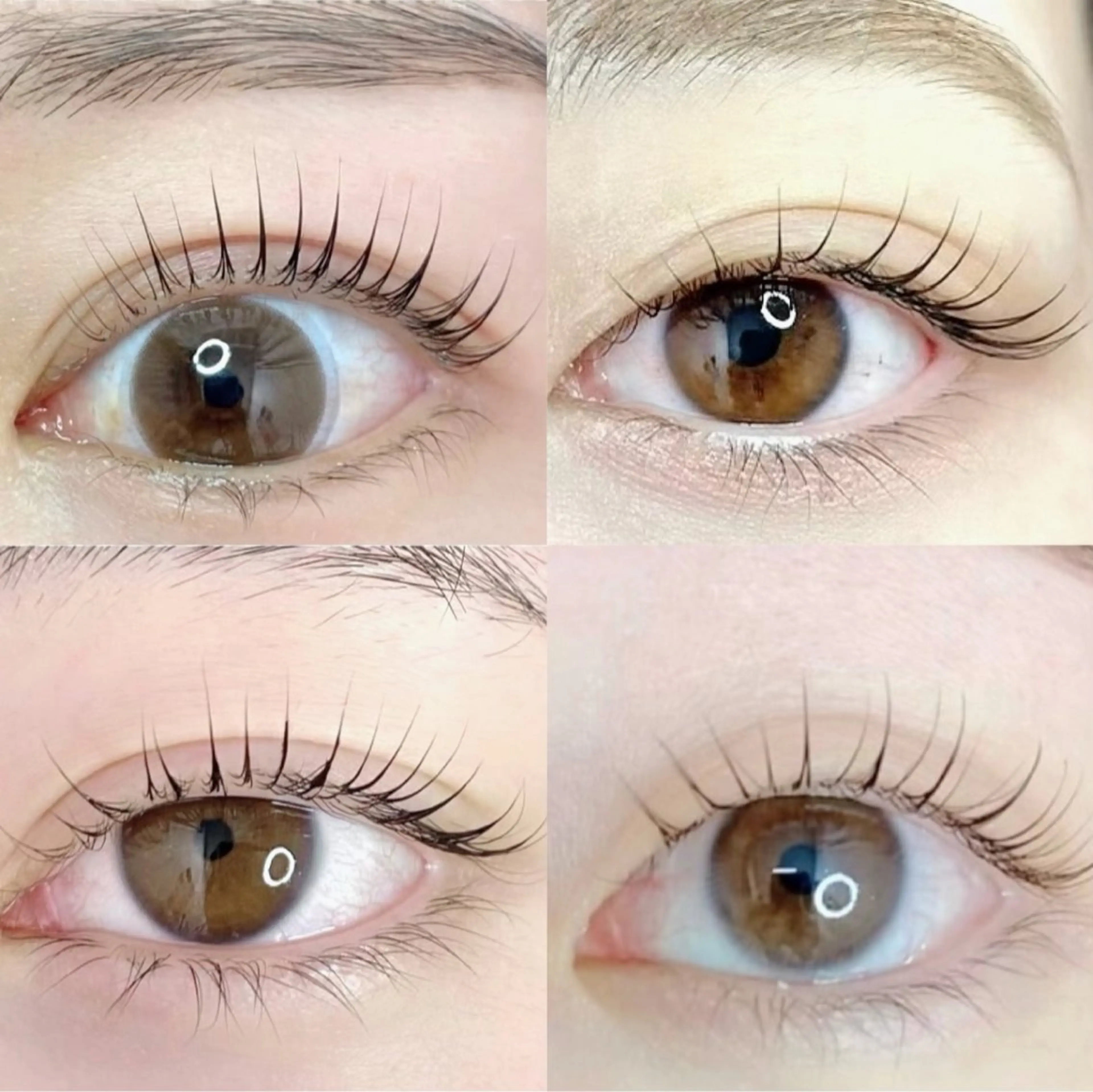 マツエク・マツパ Cカール 韓国風マツエク パリジェンヌラッシュリフト まつげパーマ マツパ Blanc梅田茶屋町 【まつげパーマ・眉】の眉毛・アイブロウイメージ