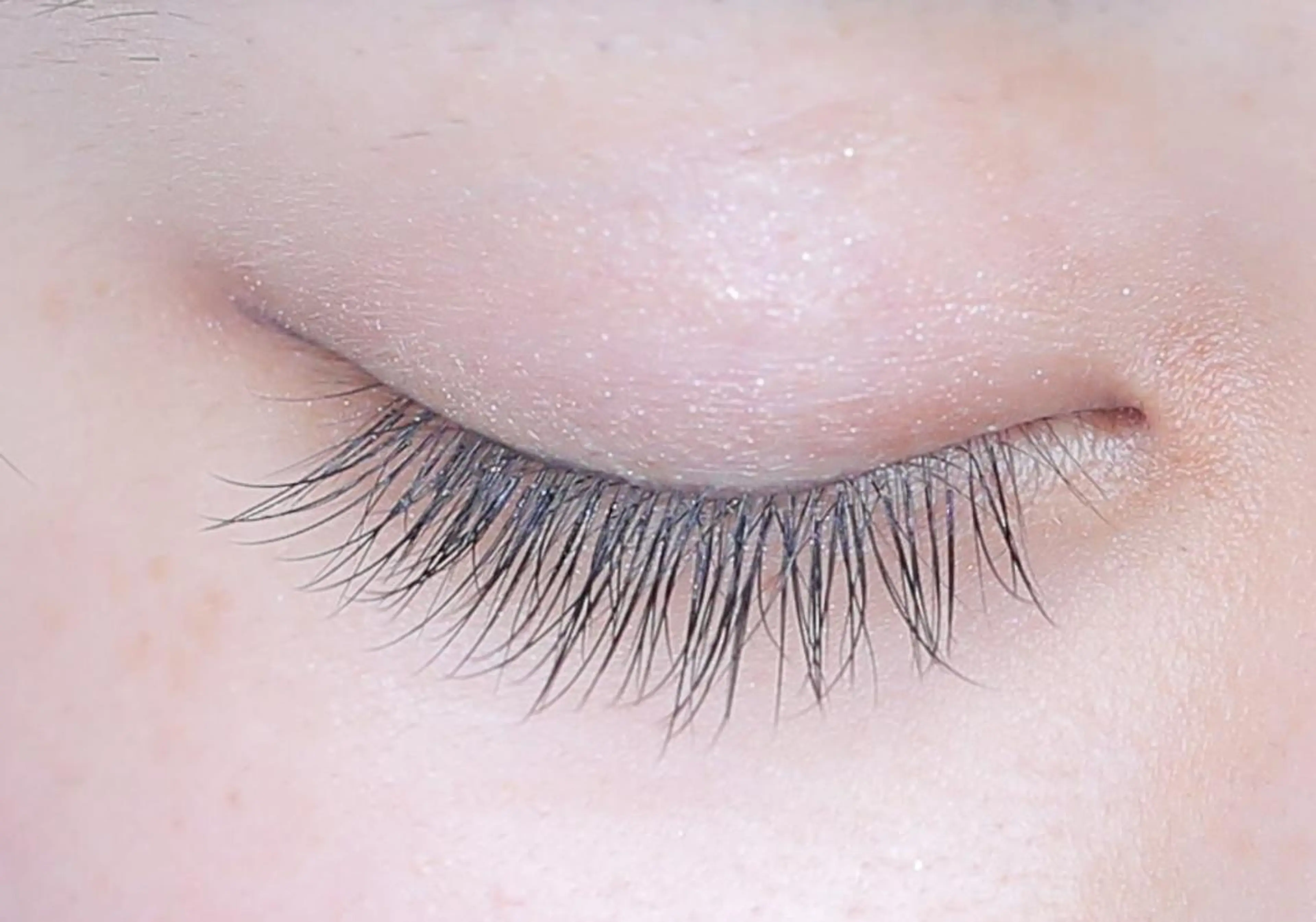 マツエク・マツパ キュート ナチュラル Neo店長🌿 KOTONO🌿のマツエク・マツパデザイン