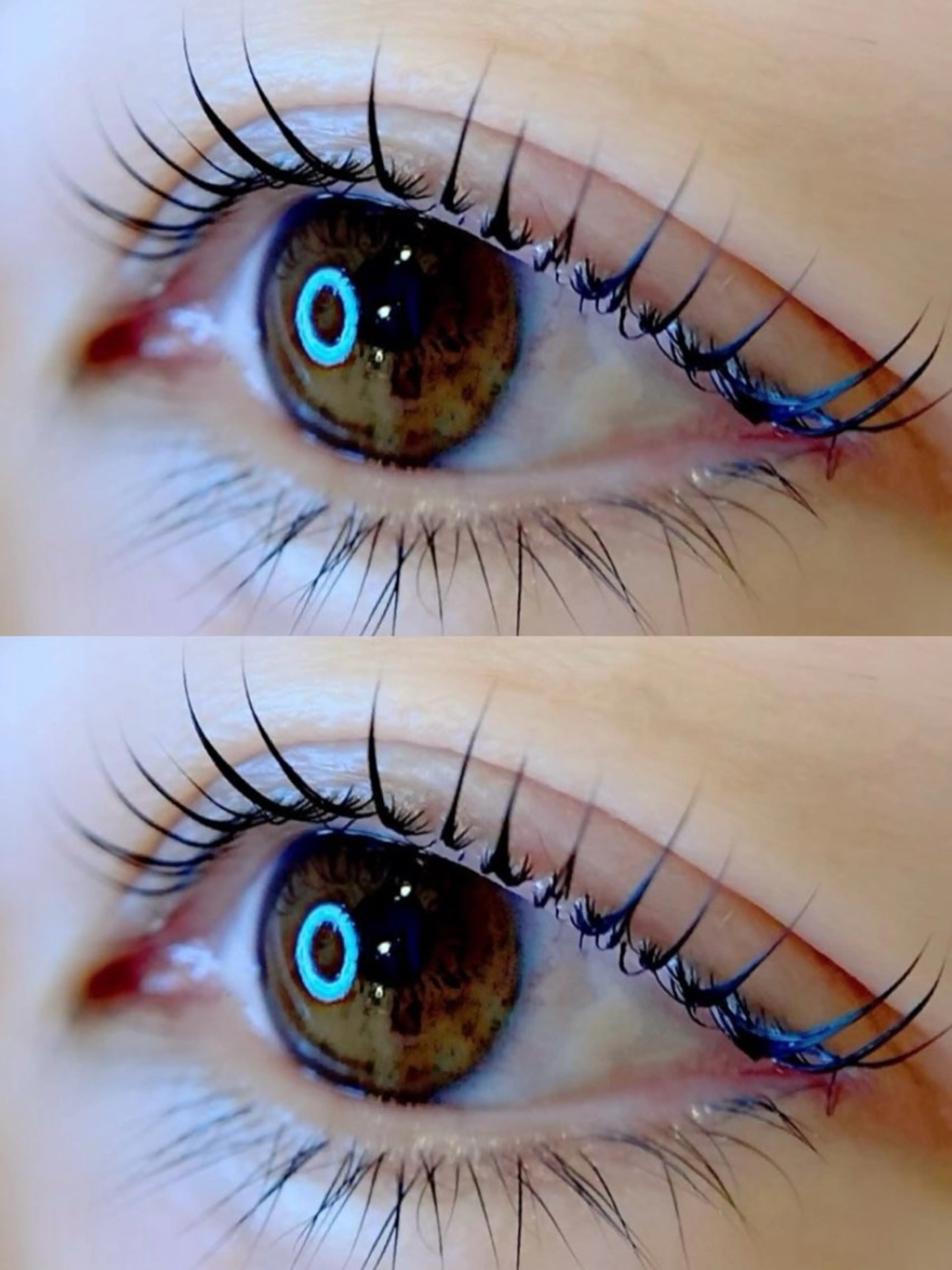 初月限定（5月）／先着5名様まつ毛パーマ通常 6,600円 → 3,900円（サンキュー価格）♡にてご案内いたしますの写真