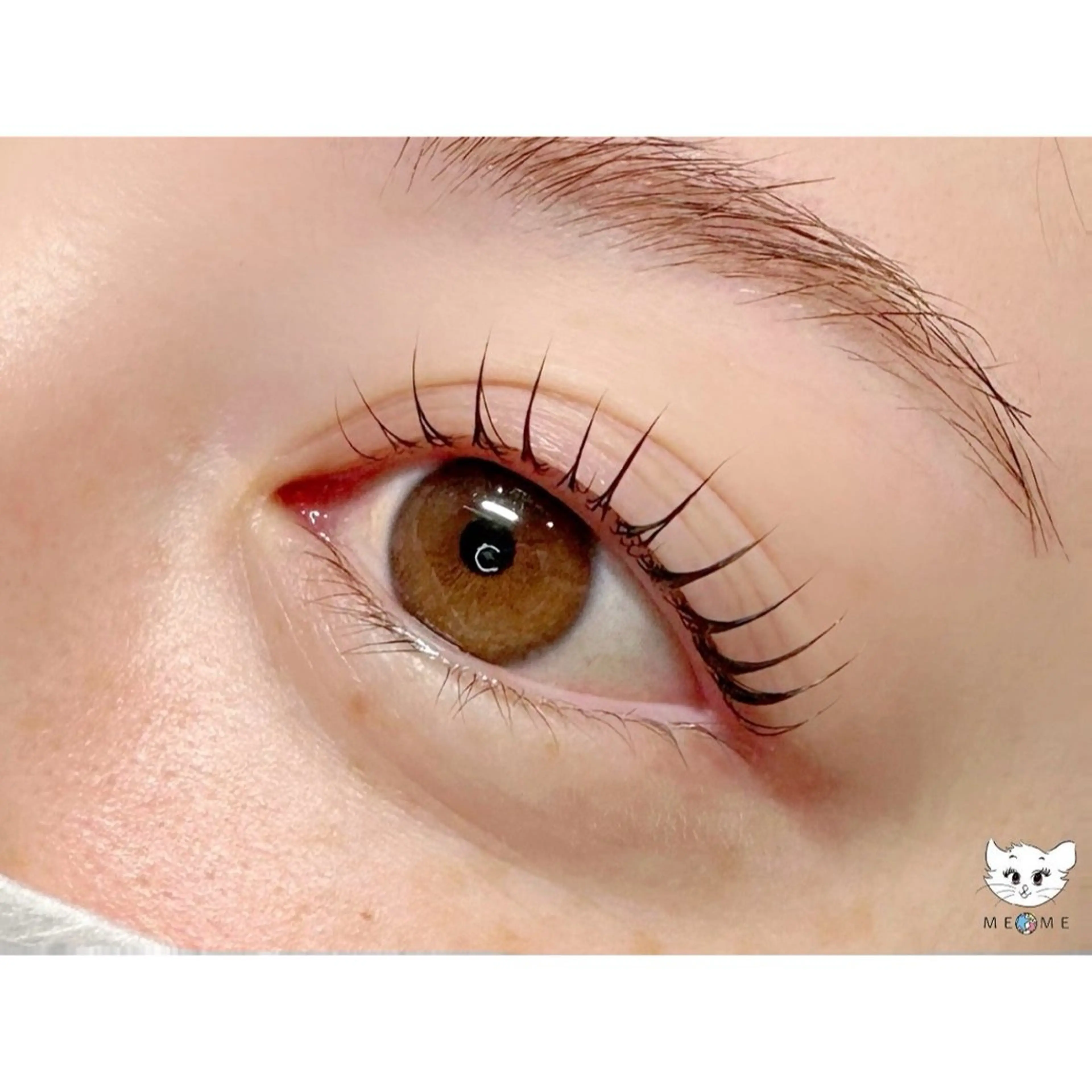 🪄ラッシュアディクト×パリジェンヌorまつげパーマ🪄の写真