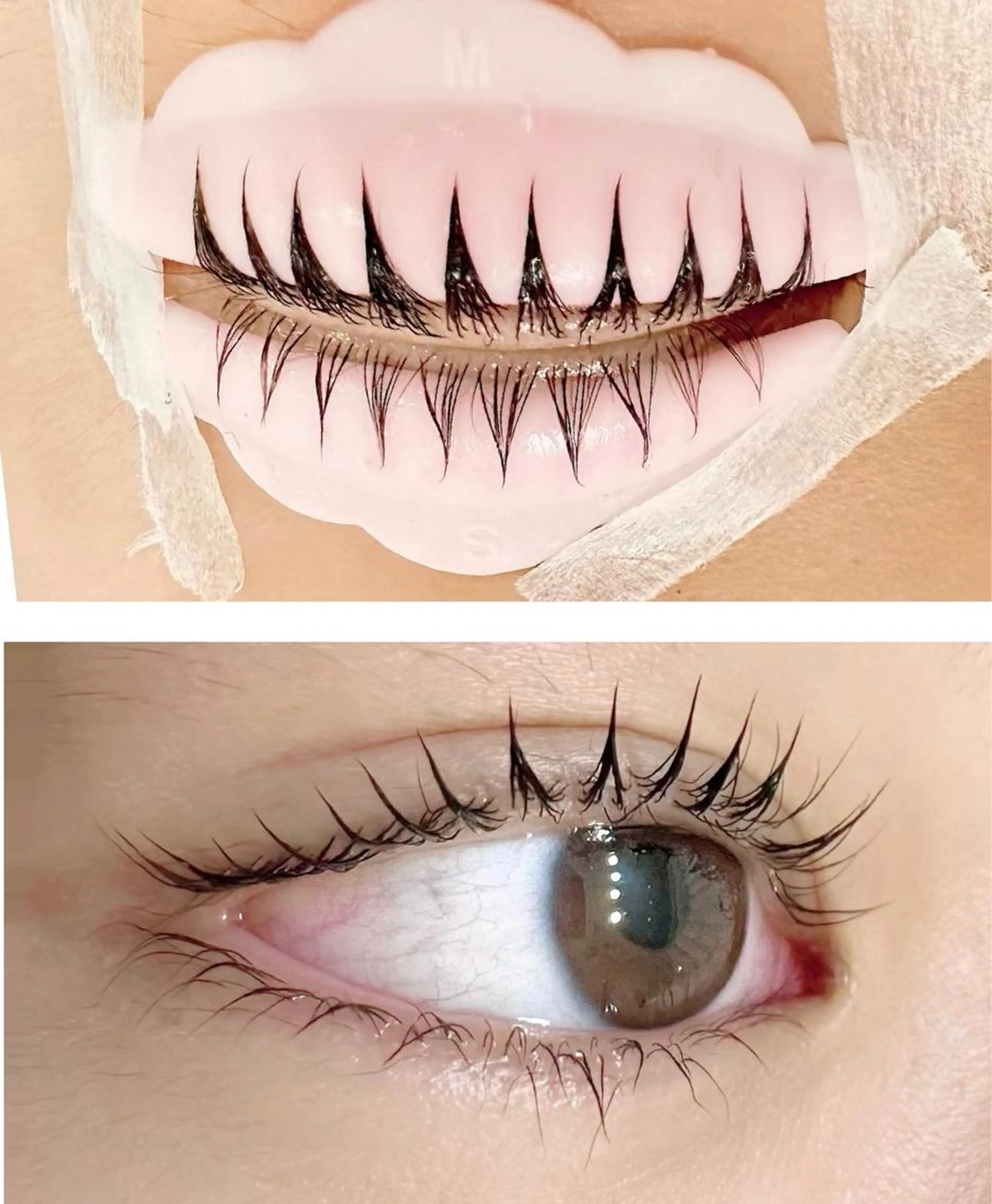 【期間限定】上下まつ毛パーマ⭐︎トリートメント.コーティング付¥8500/パリジェンヌ+¥300の写真