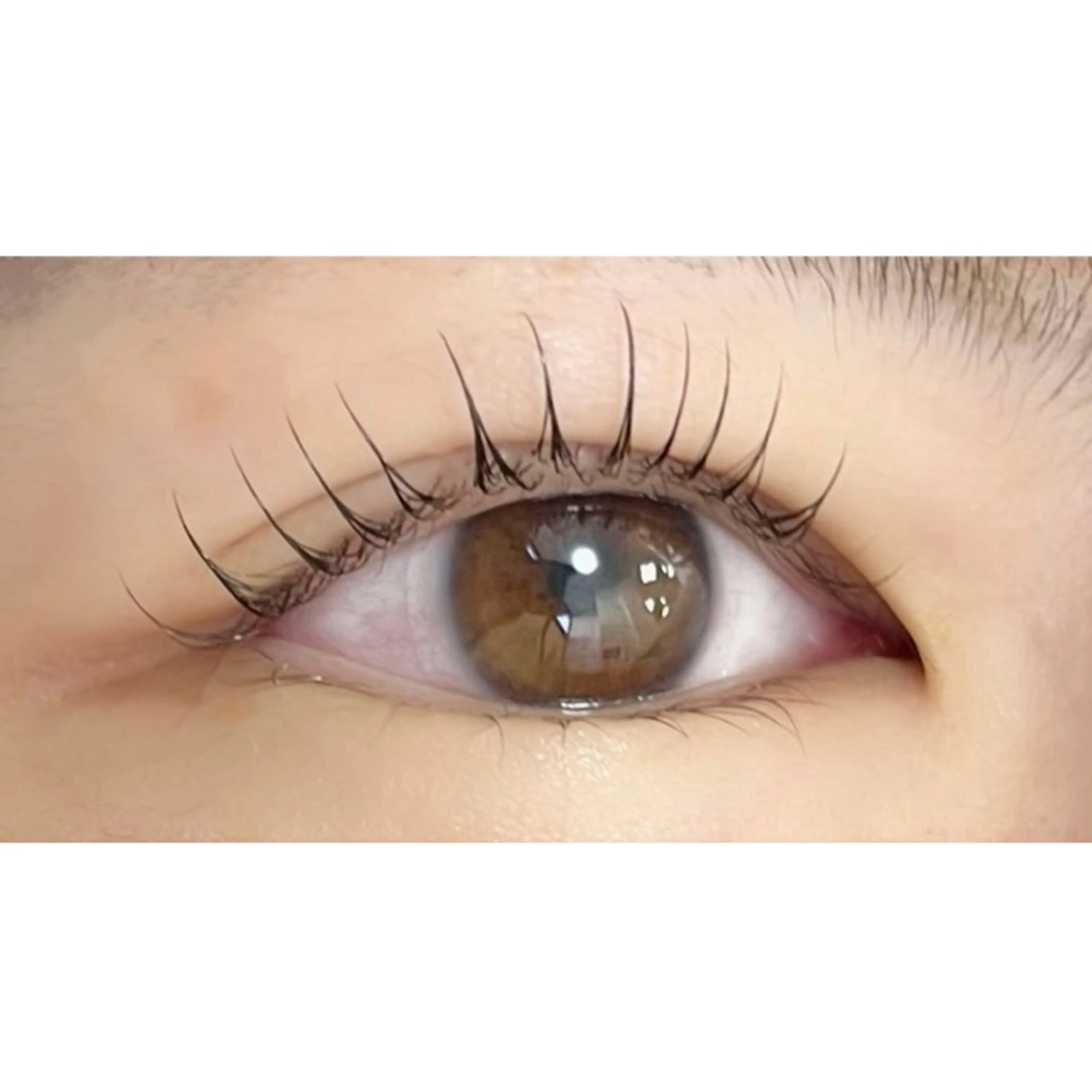 マツエク・マツパ アルターエクラ ⟡.🎼 mikiのマツエク・マツパデザイン