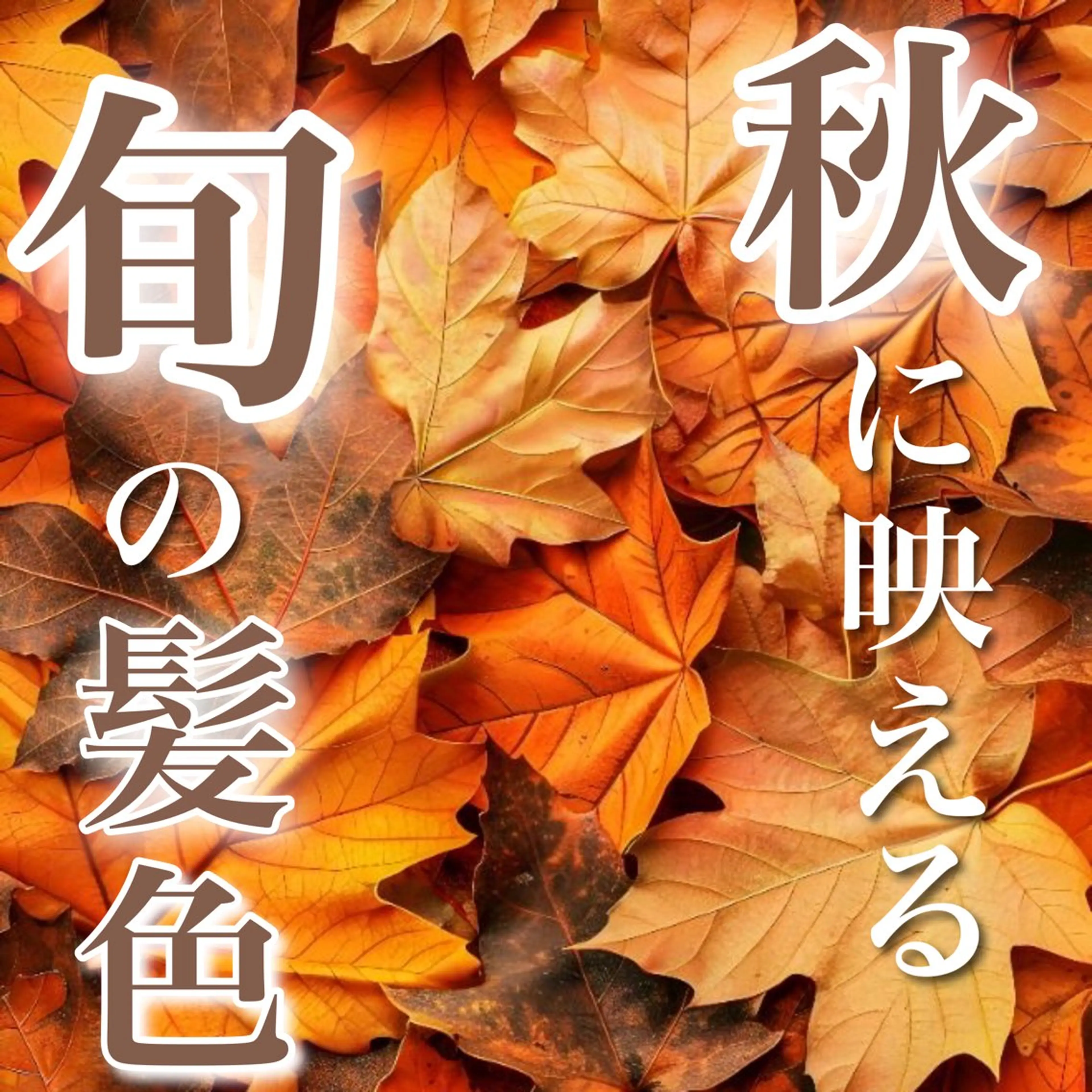 ãã³ã° ã«ãã ãã¢ã«ã©ãŒ ã«ãŠã³ã»ãªã³ã°éèŠ ð¥¥åè°·ä¿ä»ð¥¥ã®ãã¢ã¹ã¿ã€ã«