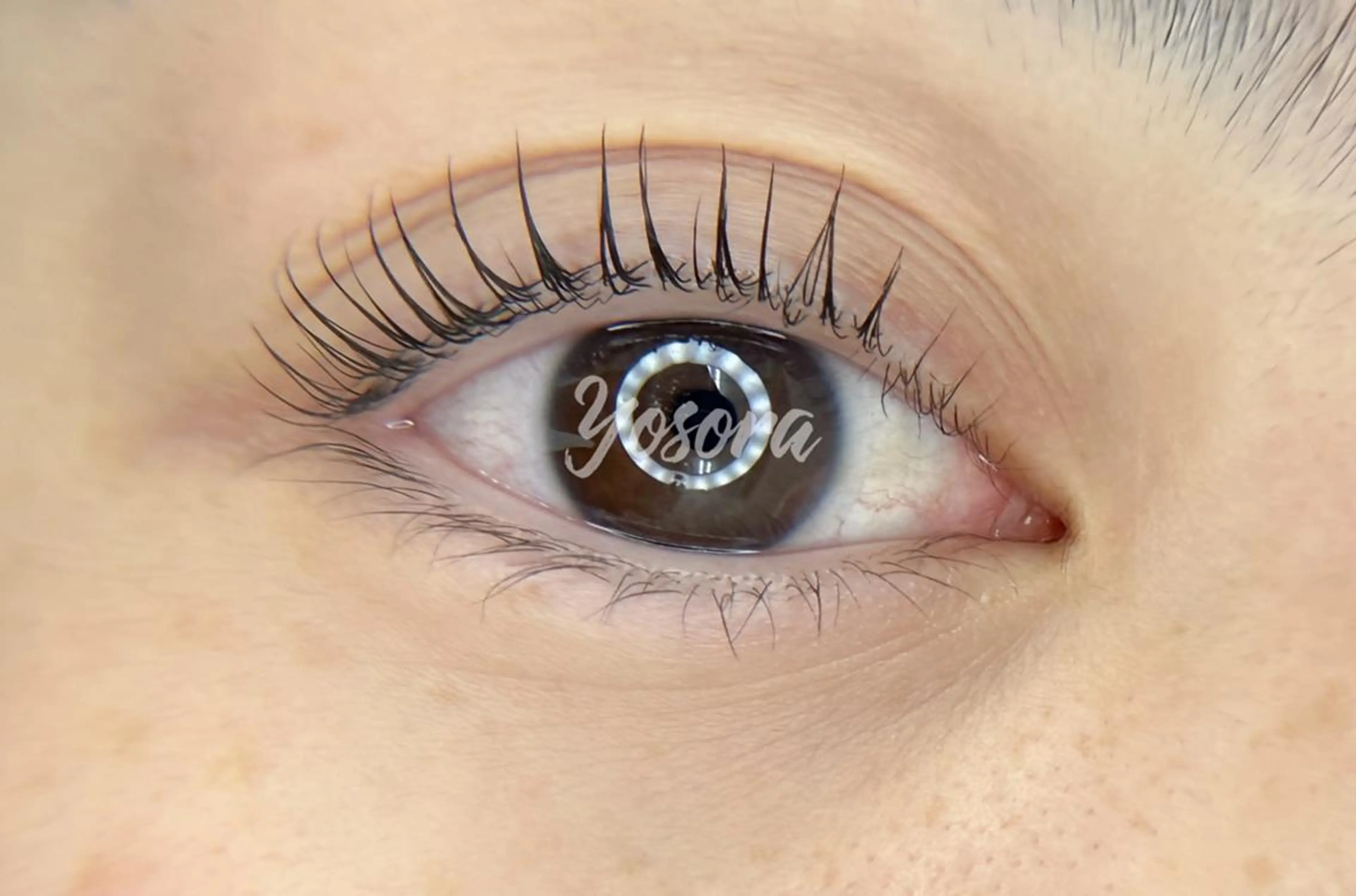 マツエク・マツパ まつげパーマ マツパ Yosora salonのマツエク・マツパデザイン