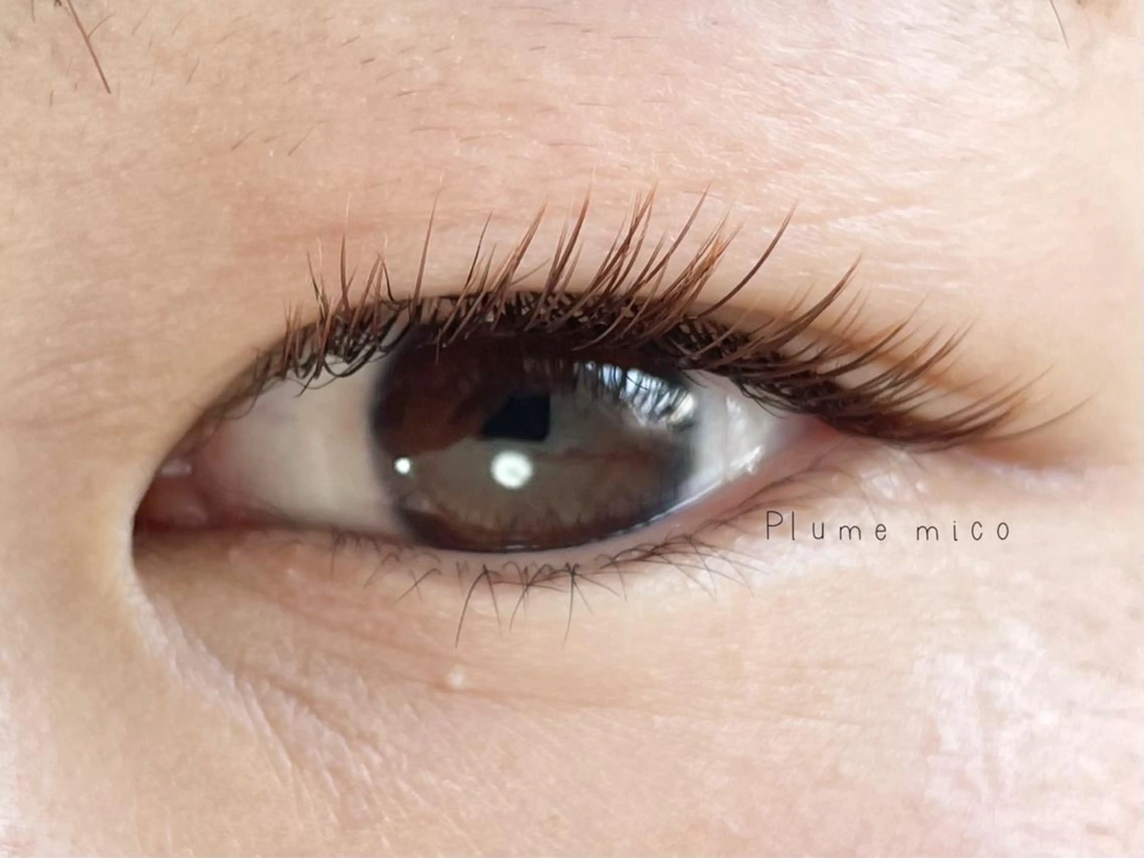 マツエク・マツパ Plume micoのマツエク・マツパデザイン