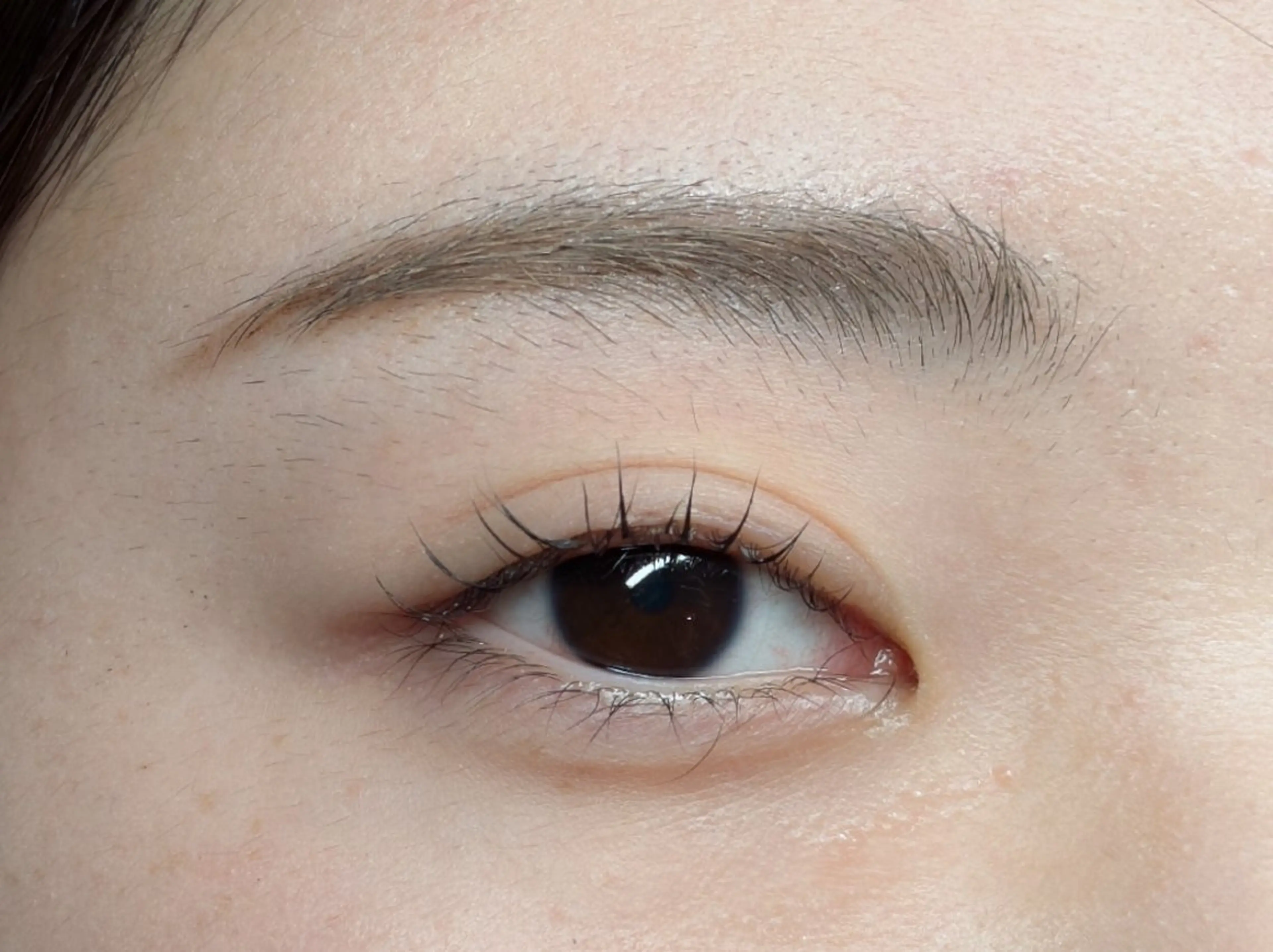 マツエク・マツパ パリジェンヌラッシュリフト まつげパーマ Sun Brown Ryu-gaのマツエク・マツパデザイン