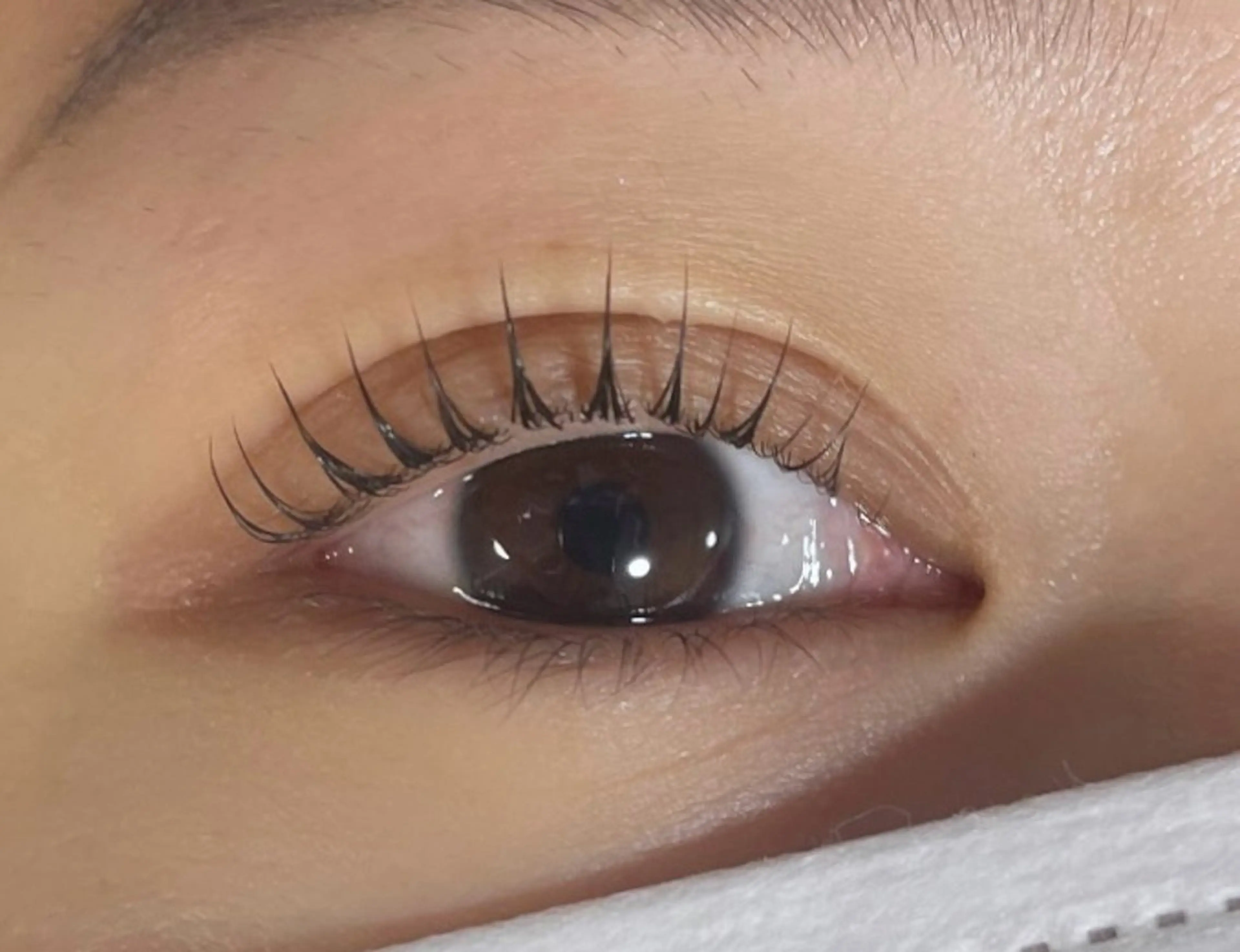 マツエク・マツパ パリジェンヌラッシュリフト WHITE EYE 西宮北口 田村のマツエク・マツパデザイン