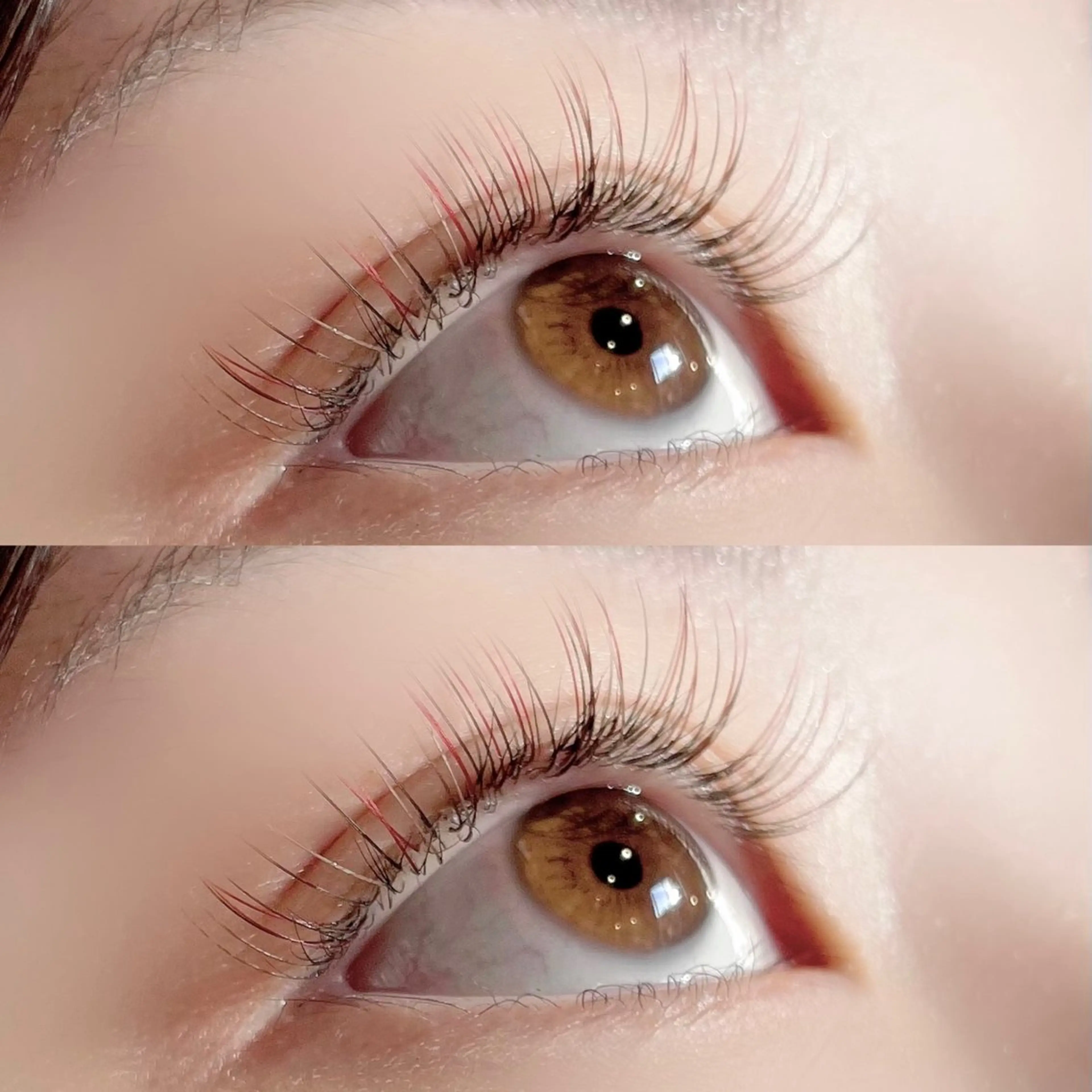 マツエク・マツパ マツエク 🦋MaaZ lash2🦋のエステ・リラクイメージ