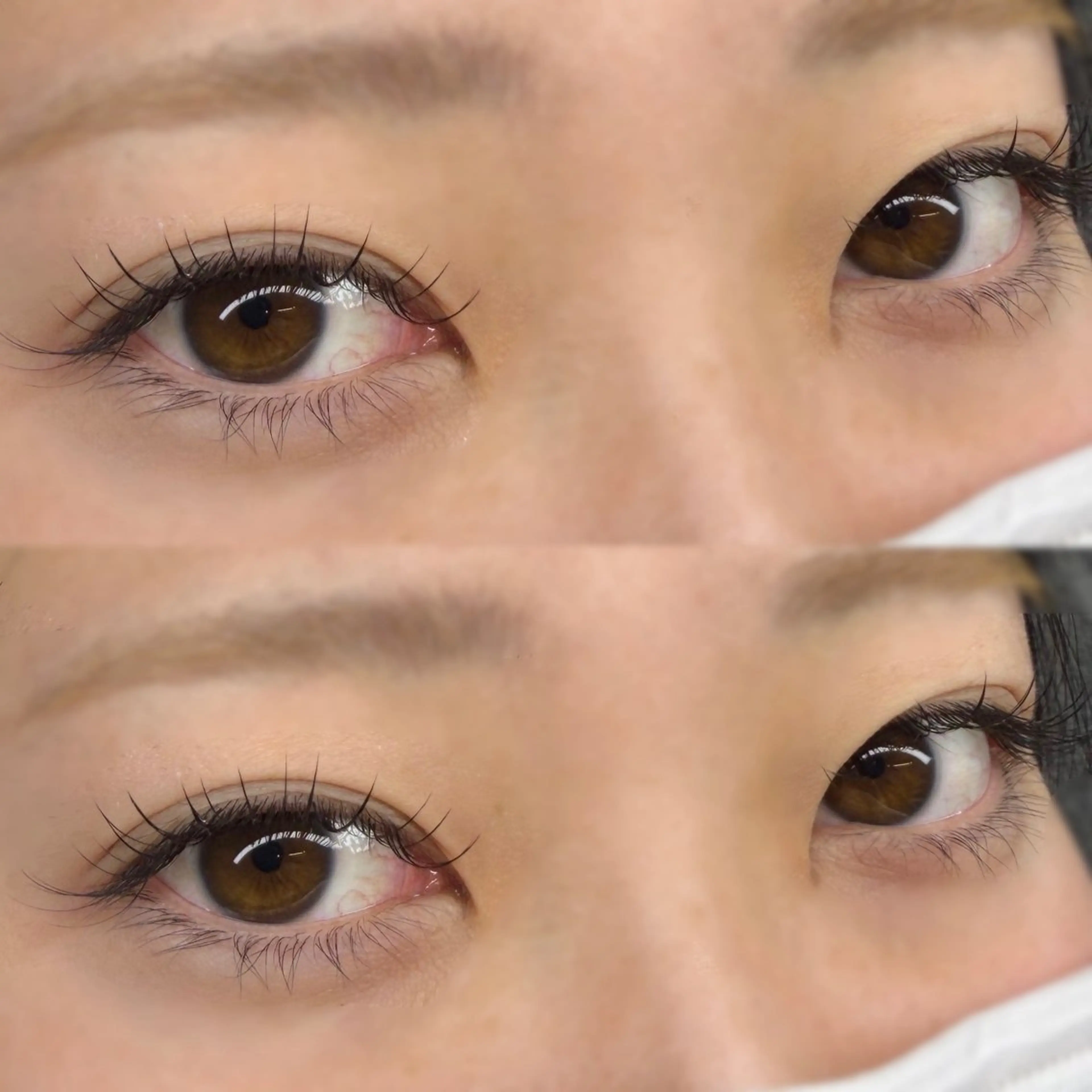 フラットラッシュ100本✨の写真