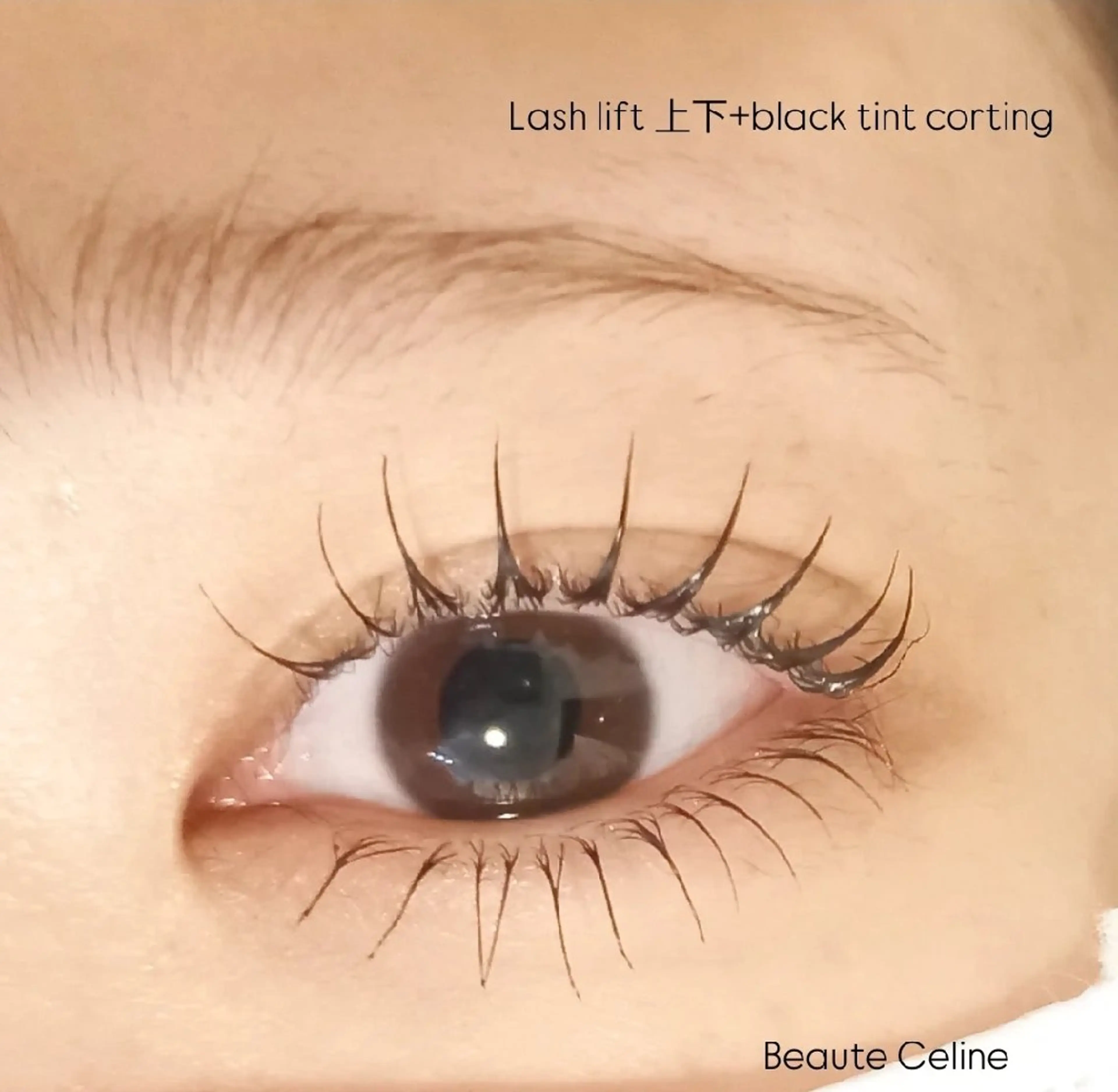 マツエク・マツパ マツパ beaute.celine所属・8時~✨beaute Celine🌛🌹のマツエク・マツパデザイン