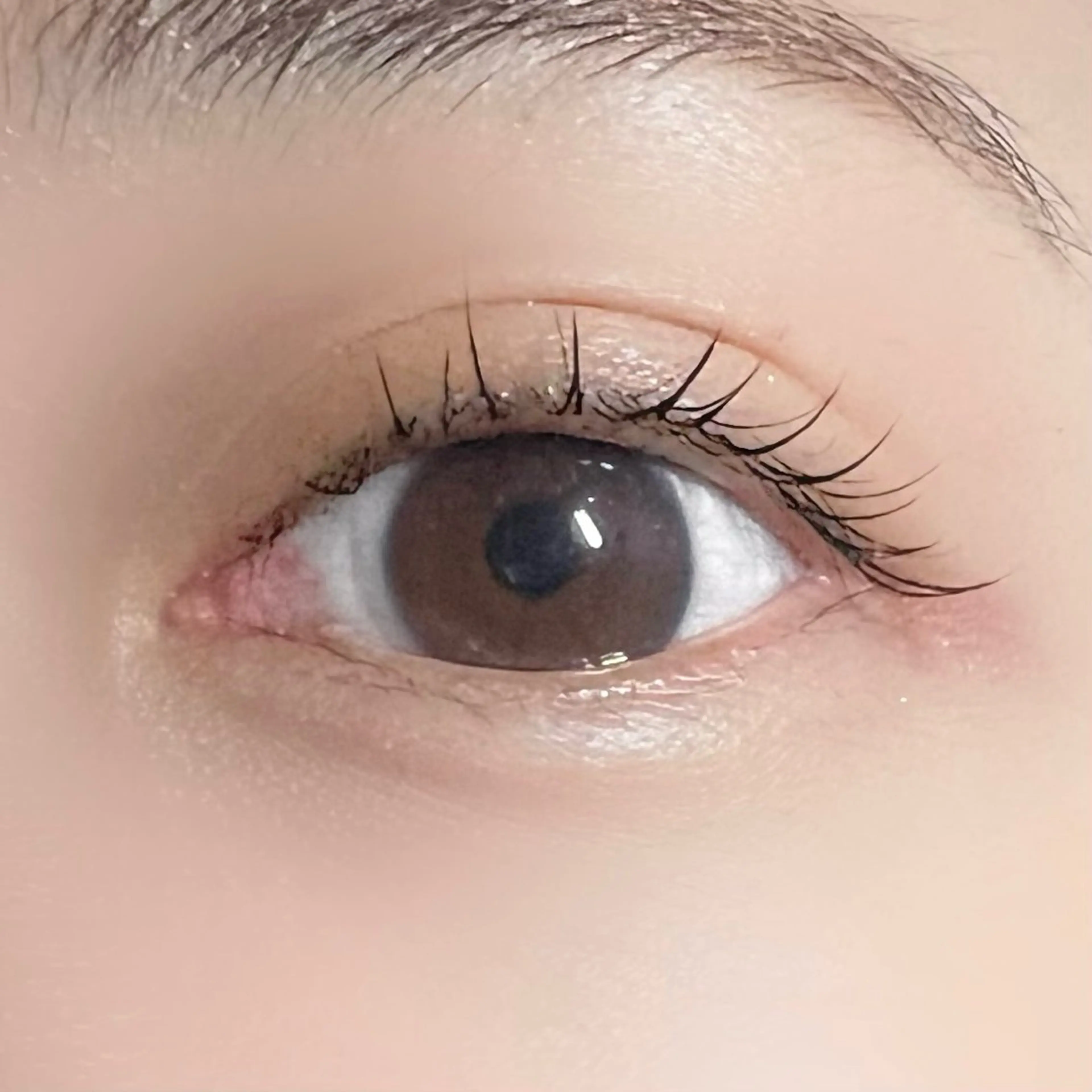 マツエク・マツパ 垢抜け眉WAX専門 ちゅるんまつげ|鎌倉の眉毛・アイブロウイメージ