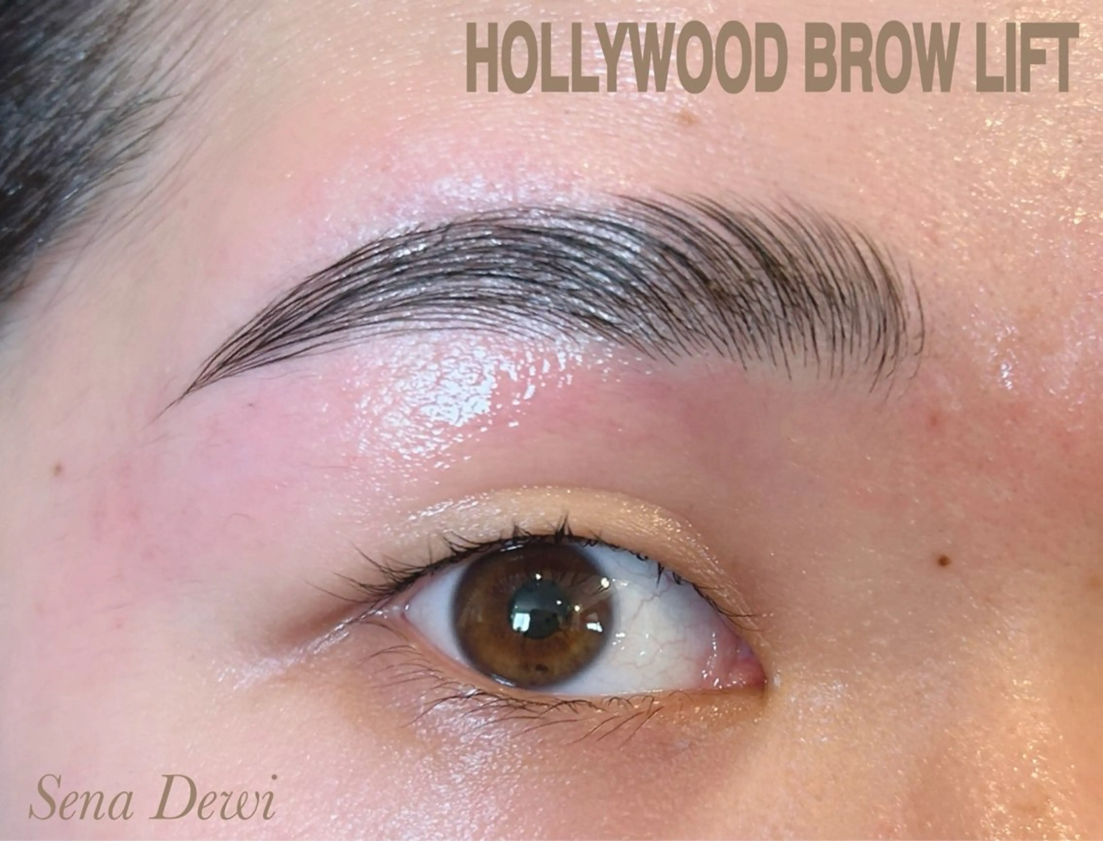 アイブロウ Sena Dewi Yukiの眉毛・アイブロウイメージ