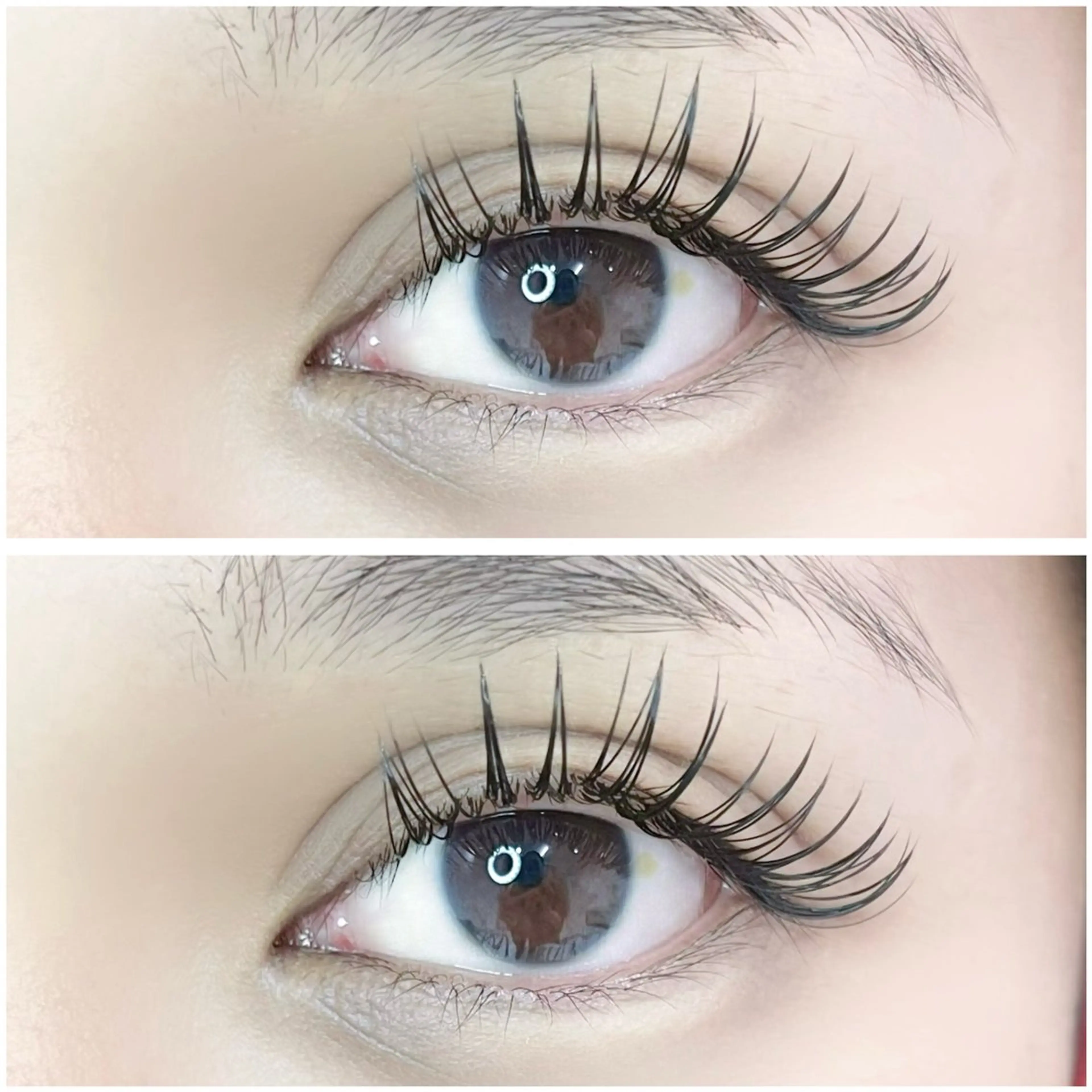 バインドロック方【付けたし】20束🪽✨の写真