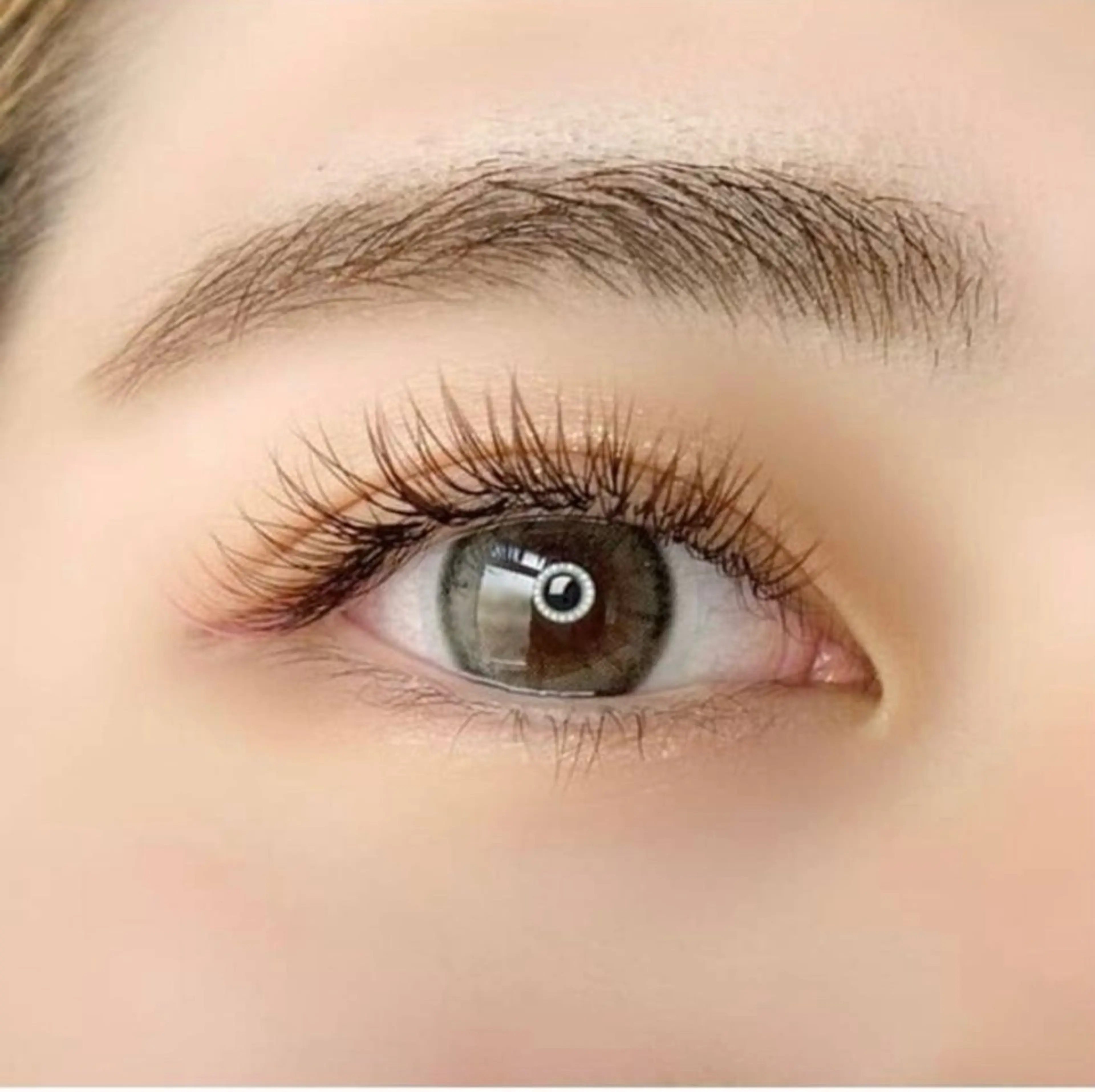 マツエク・マツパ マツエク 束感まつげ/パリエク 🧸sakuraのマツエク・マツパデザイン