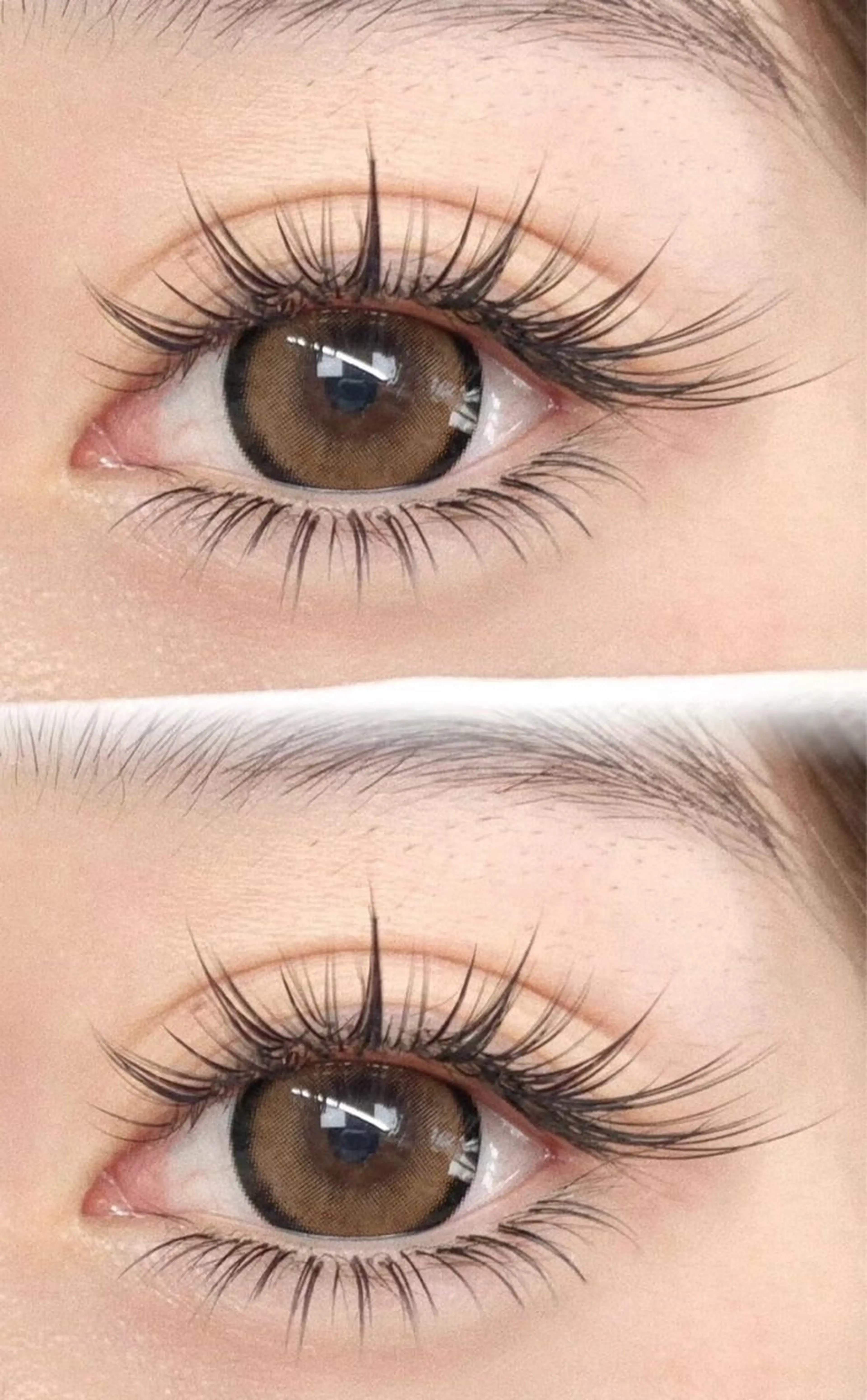 【中華ワンホン】ボリュームラッシュナチュラルの写真