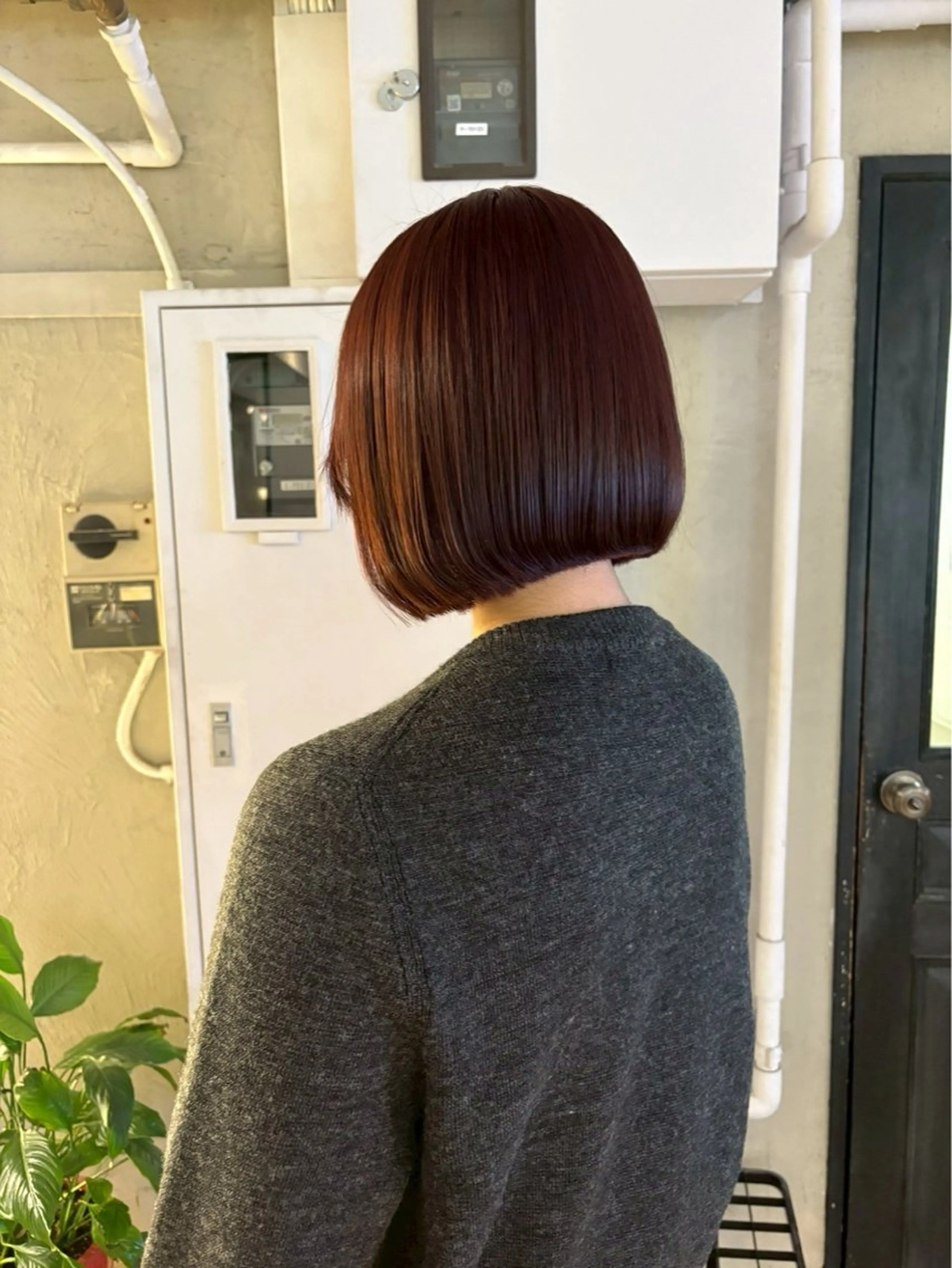 5月限定❣️ふんわり透けワンカラー ➕トリートメント トーンアップ🤎✨️✨️✨️✨️の写真