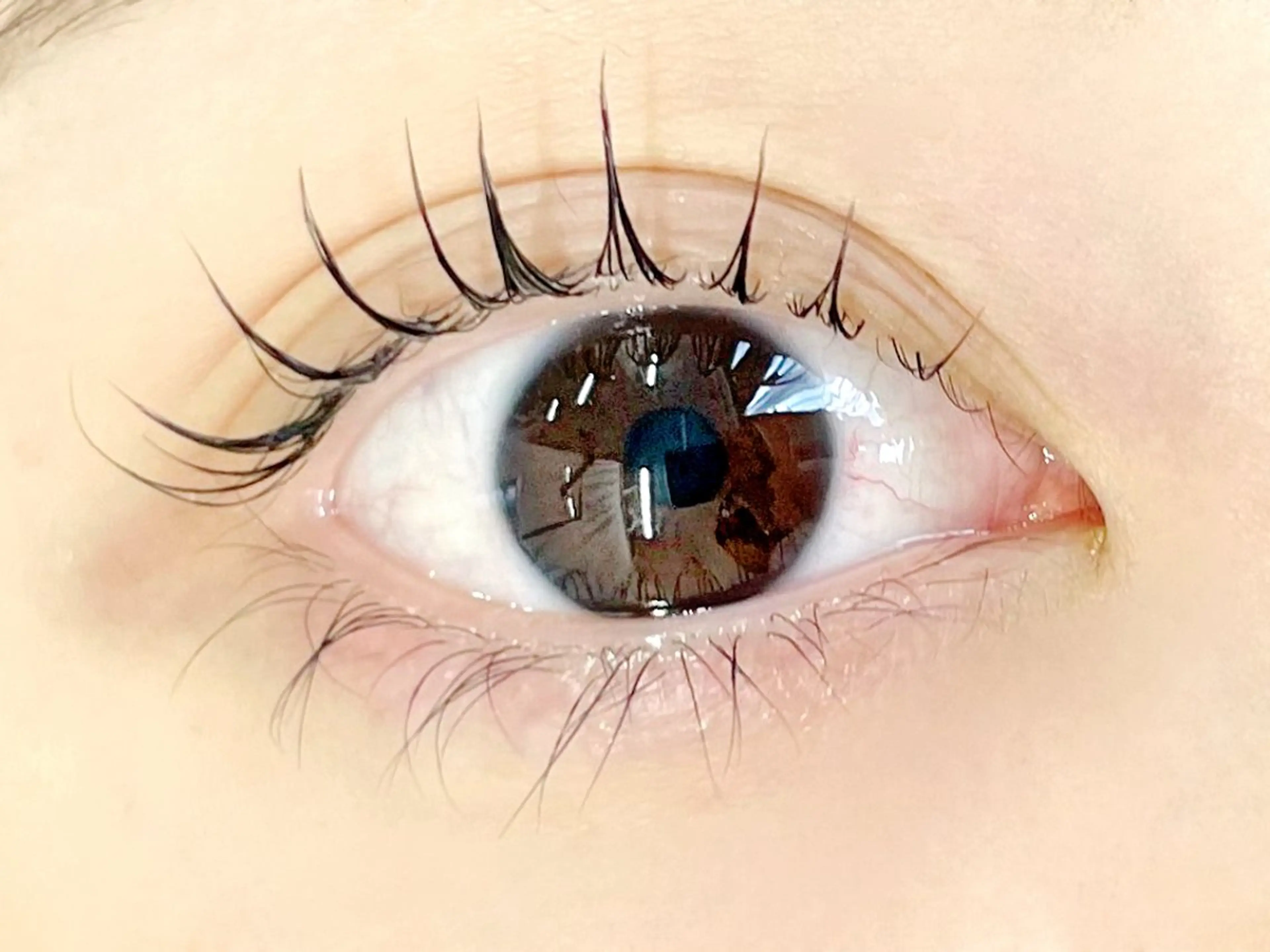 プレミアムまつ毛カール（上）レッスンモデル🫧⚠️エクステオフ不可⚠️注意事項必読⚠️必ず5分前ご来店⚠️の写真