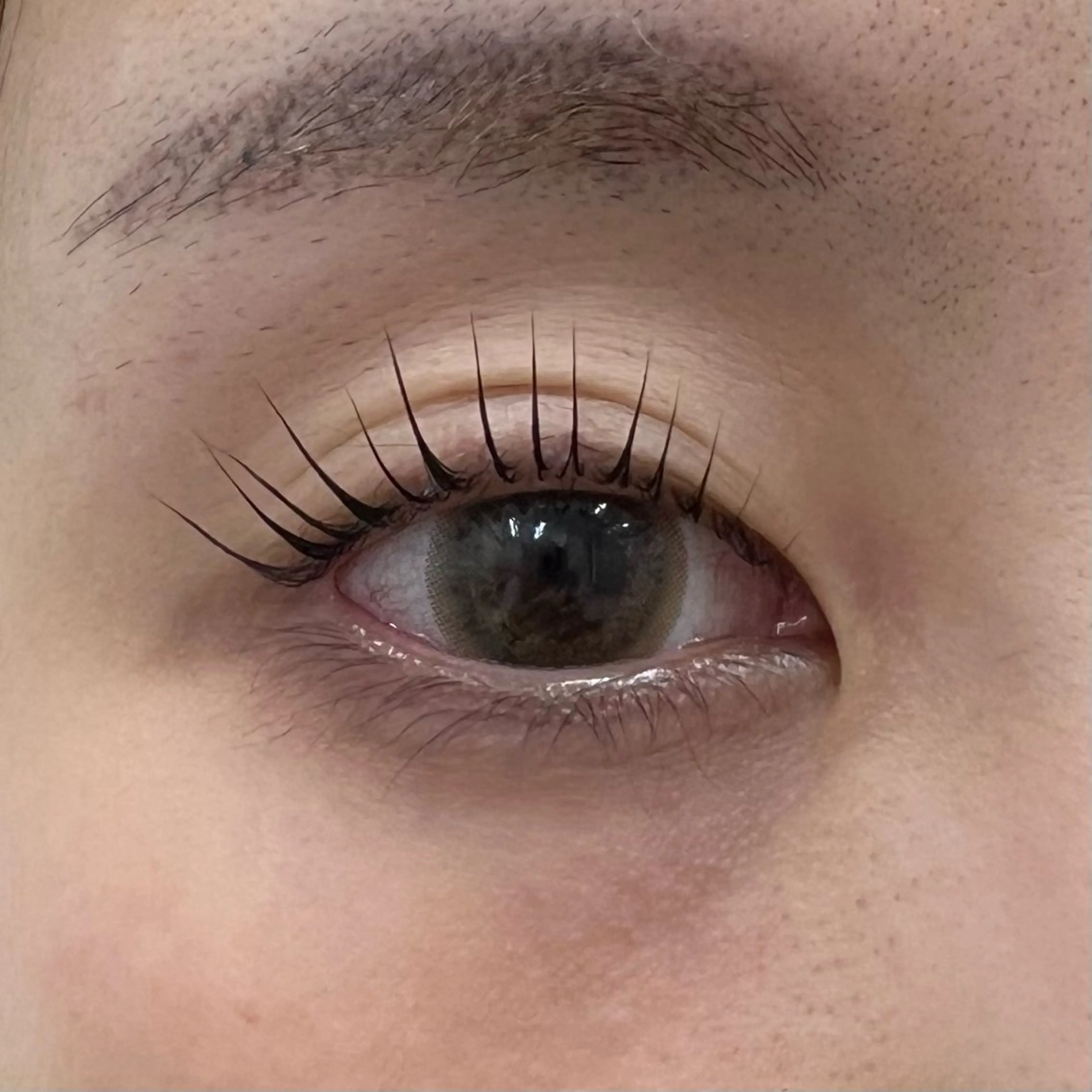 ⭐️パリジェンヌ⭐️＋コーティング付の写真