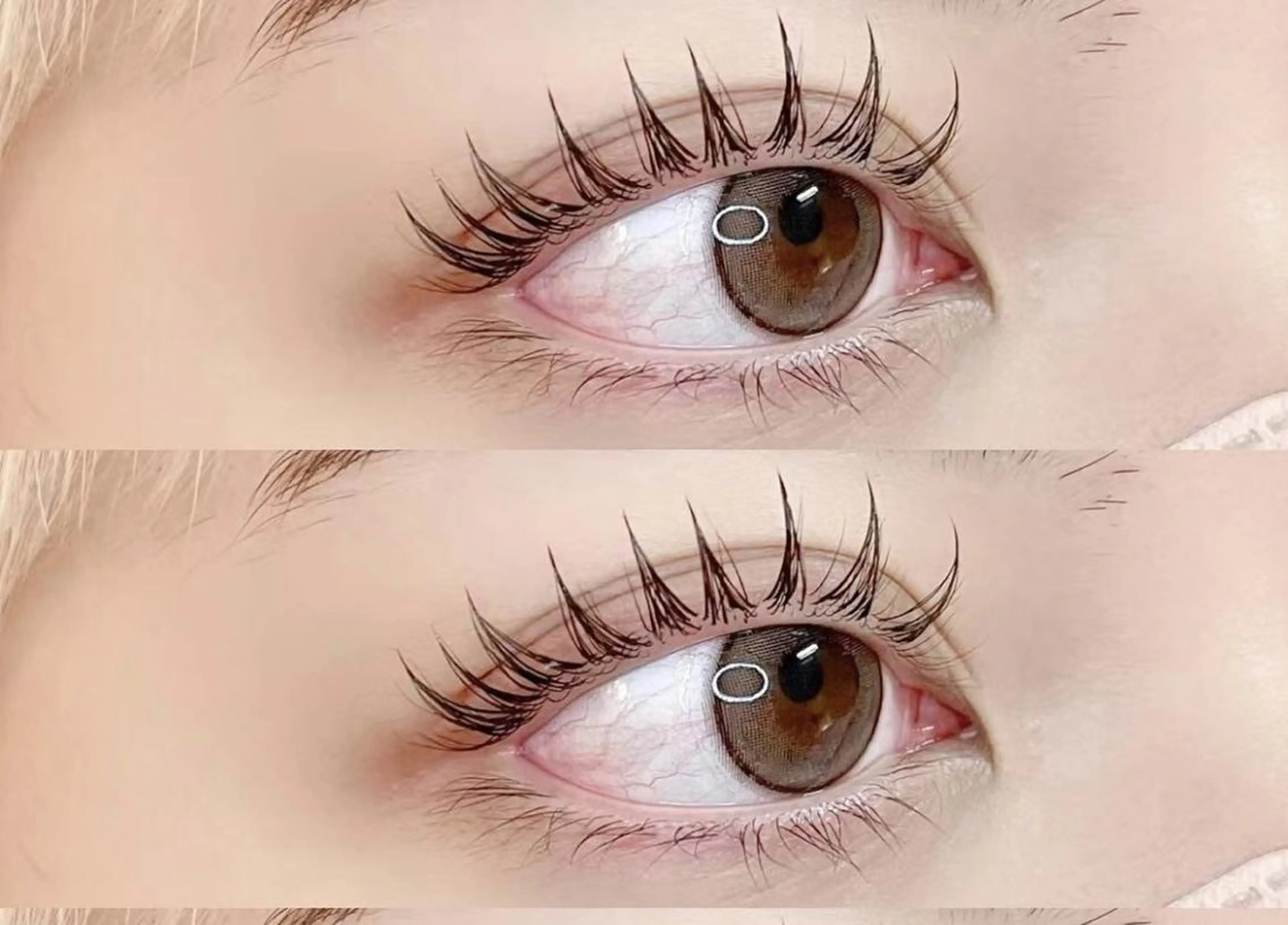 【新規オフ無料★】束感韓国アイドル風まつげパーマ +下30本¥4980の写真