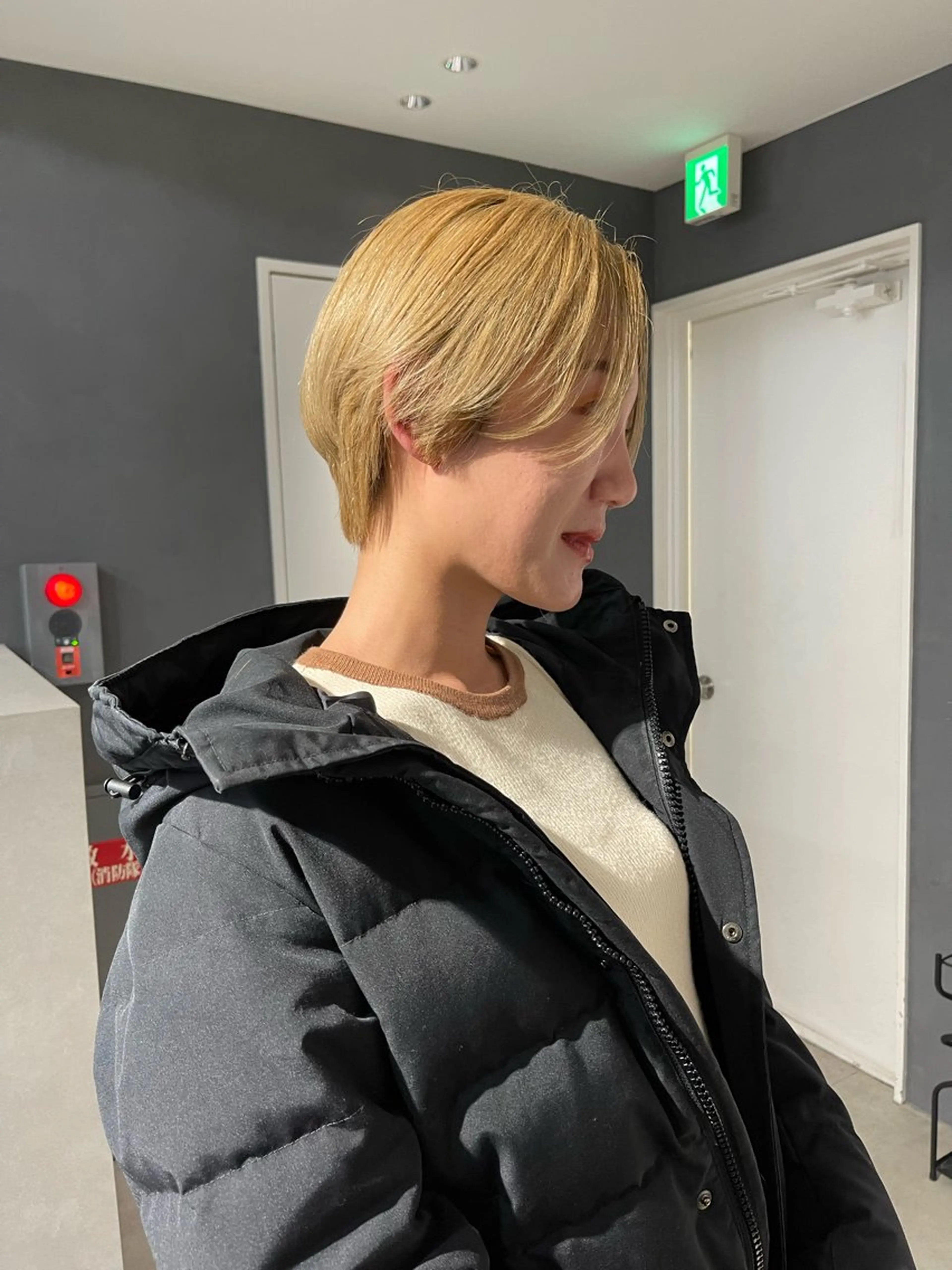 ショート カラー ハイトーンカラー ショートヘア カット ヘアカラー トリートメント 透明感カラー/レイヤ ー/艶髪/NENEのヘアスタイル