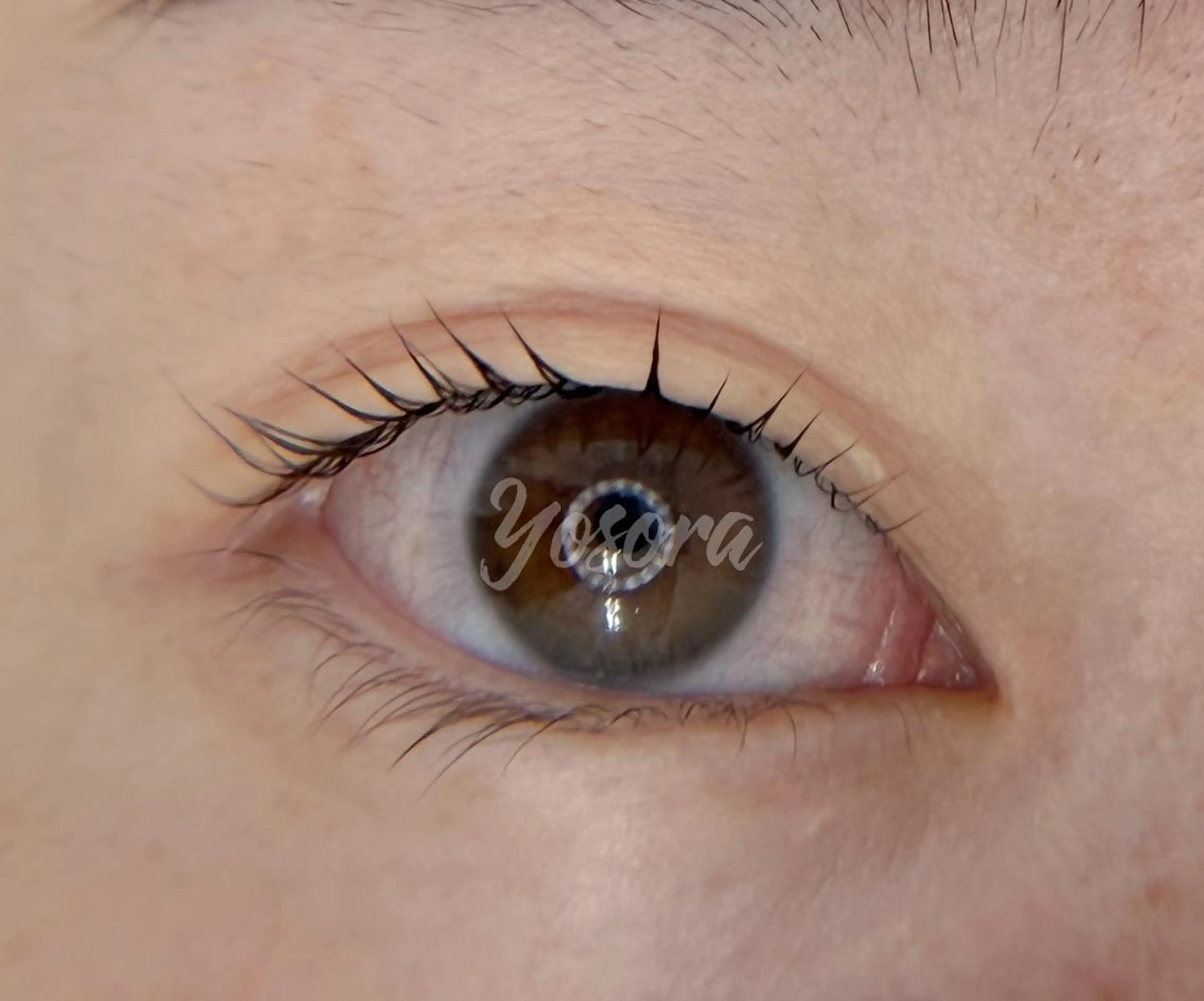 マツエク・マツパ Lカール 一重×まつ毛パーマ マツパ 浅草橋 Yosoraのマツエク・マツパデザイン