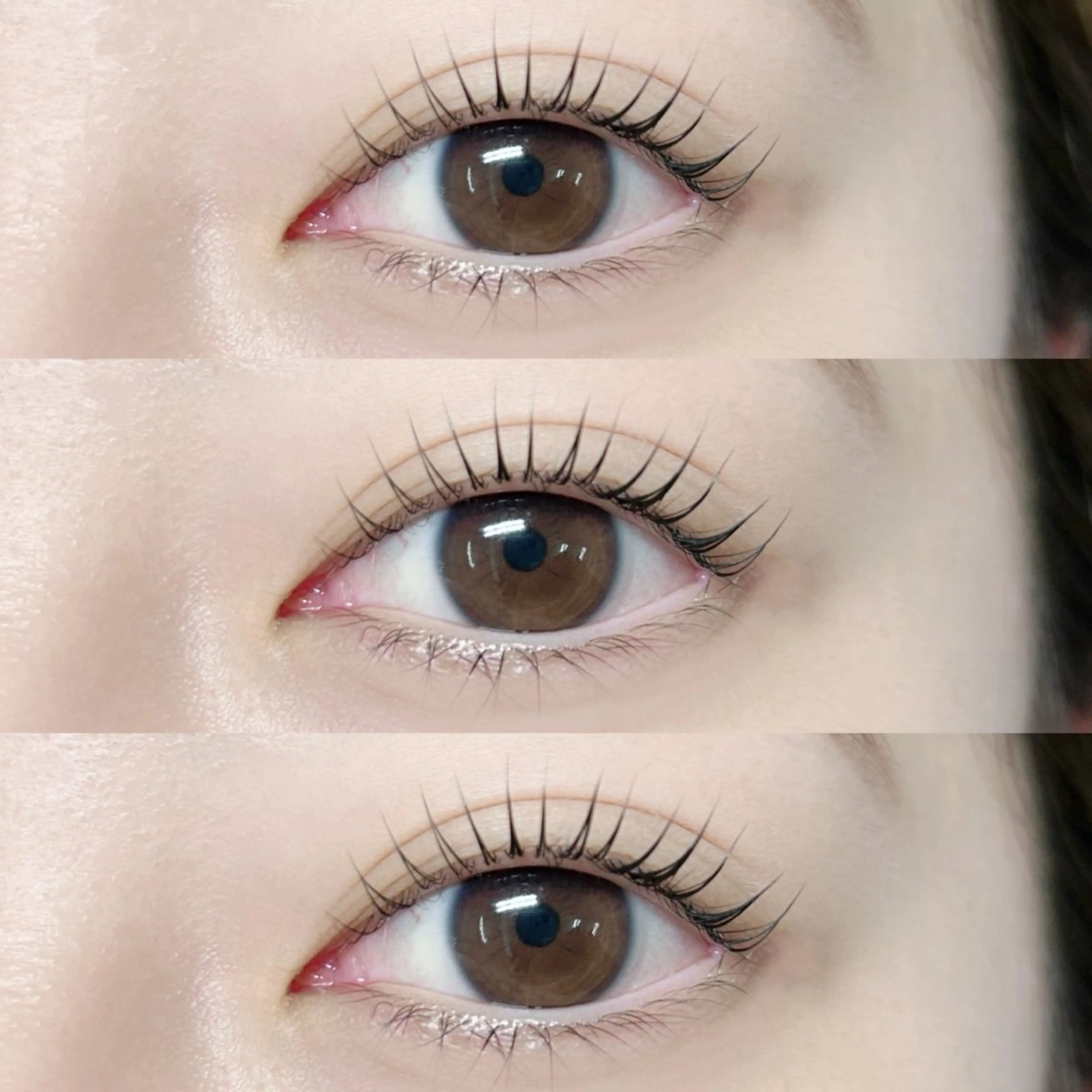 【オフあり】🌿（上）パリジェンヌorラッシュリフト🌿の写真