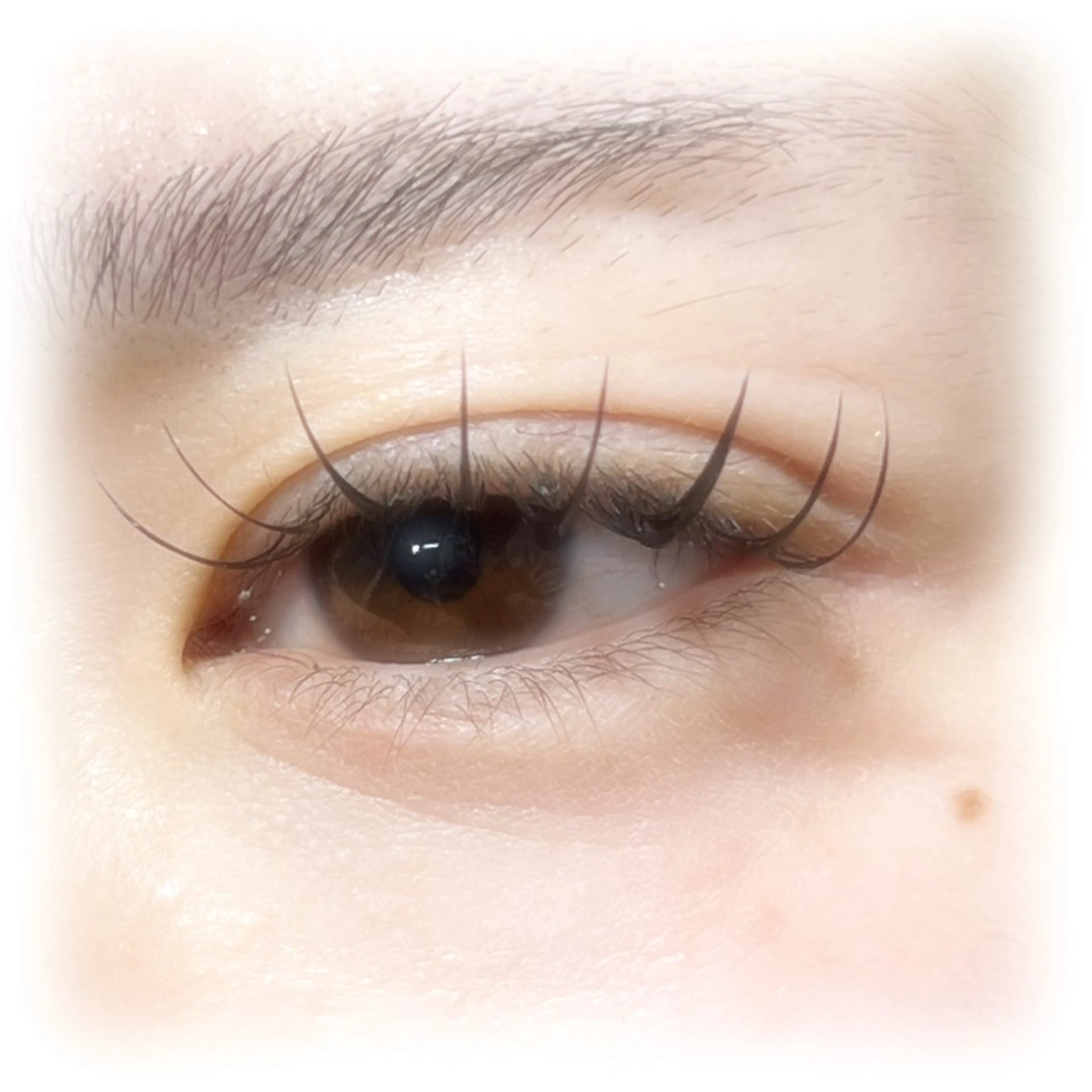 🪞シングル100or120本🧸ིྀの写真