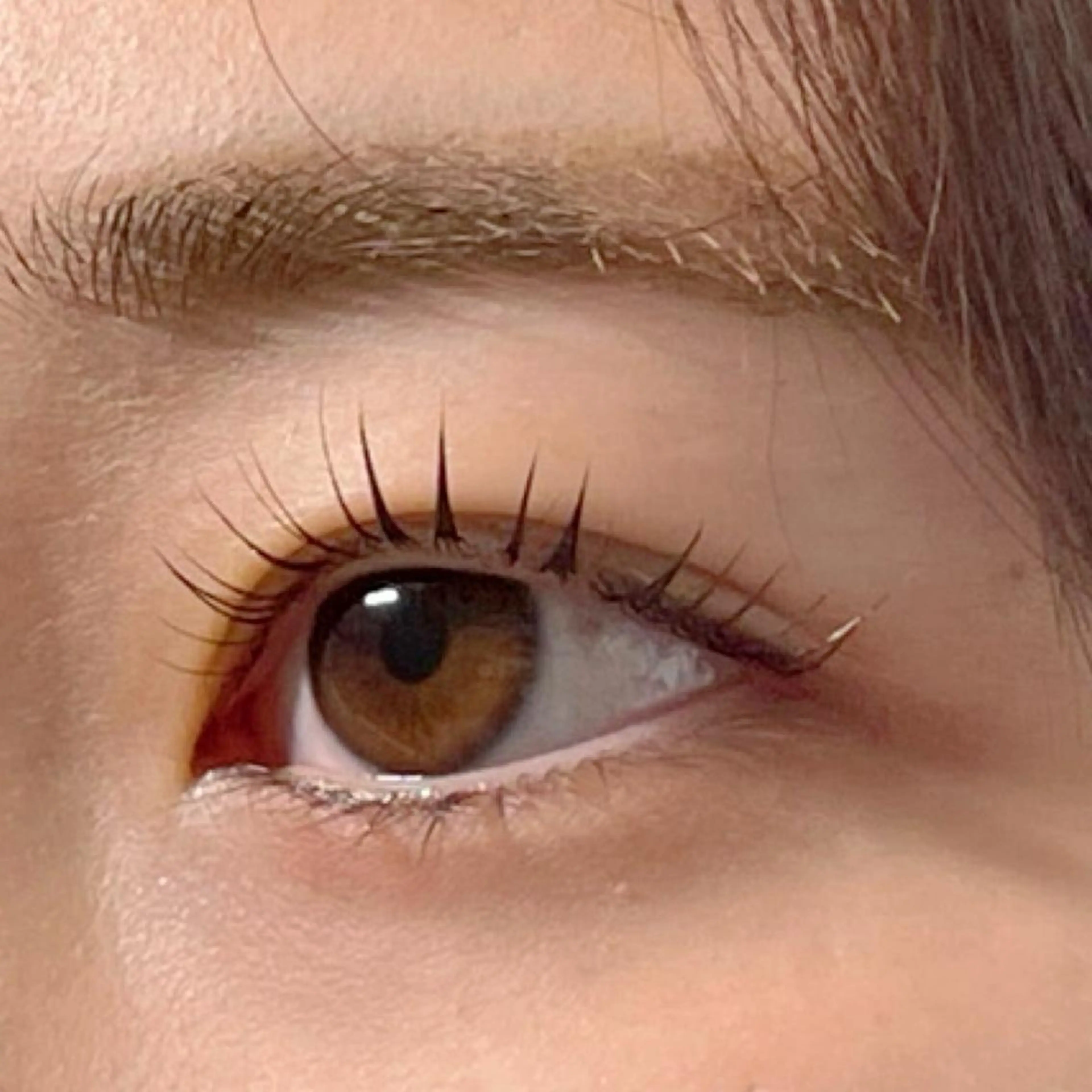 マツエク・マツパ Belinda 中和の眉毛・アイブロウイメージ