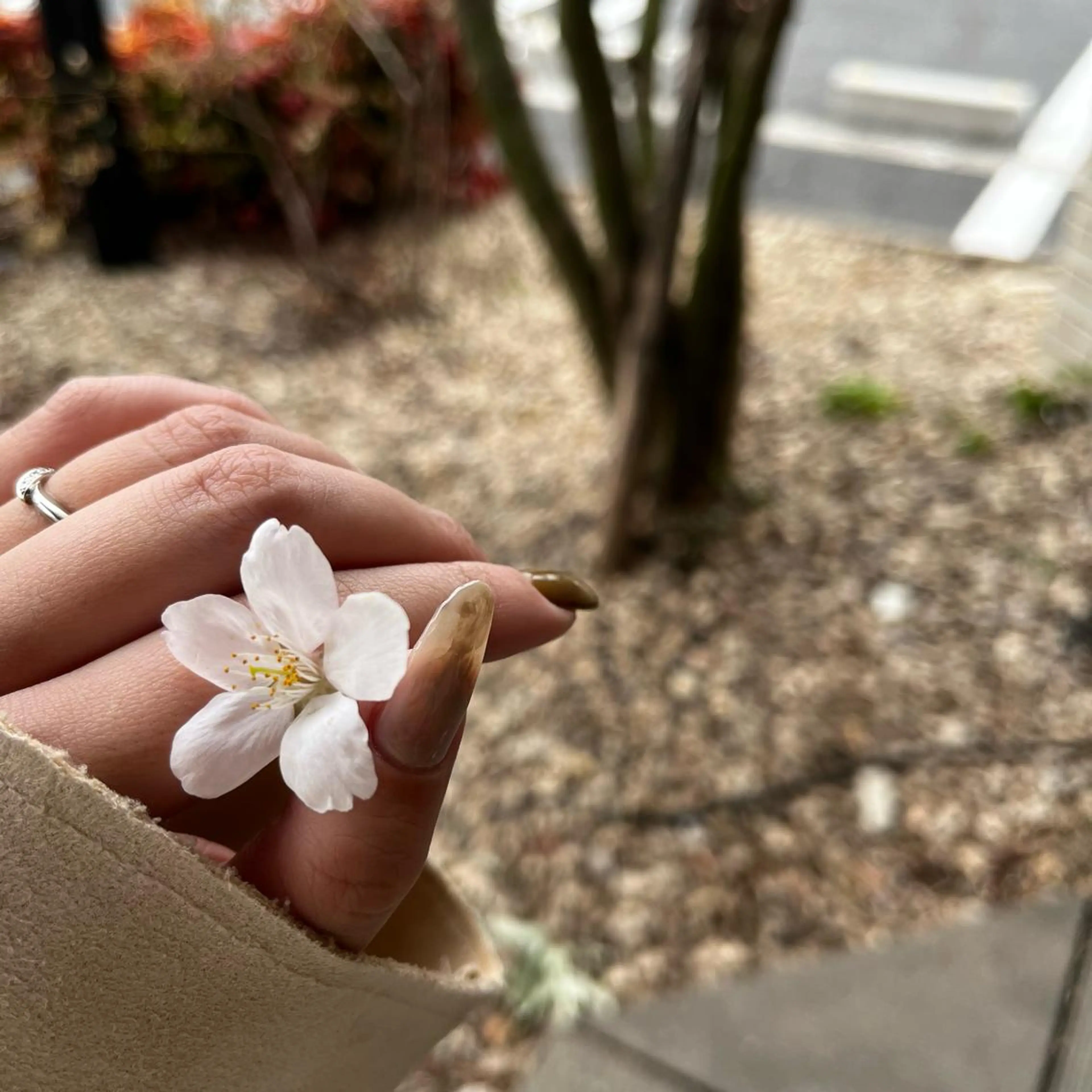 ネイル Glanz regaroのネイルデザイン