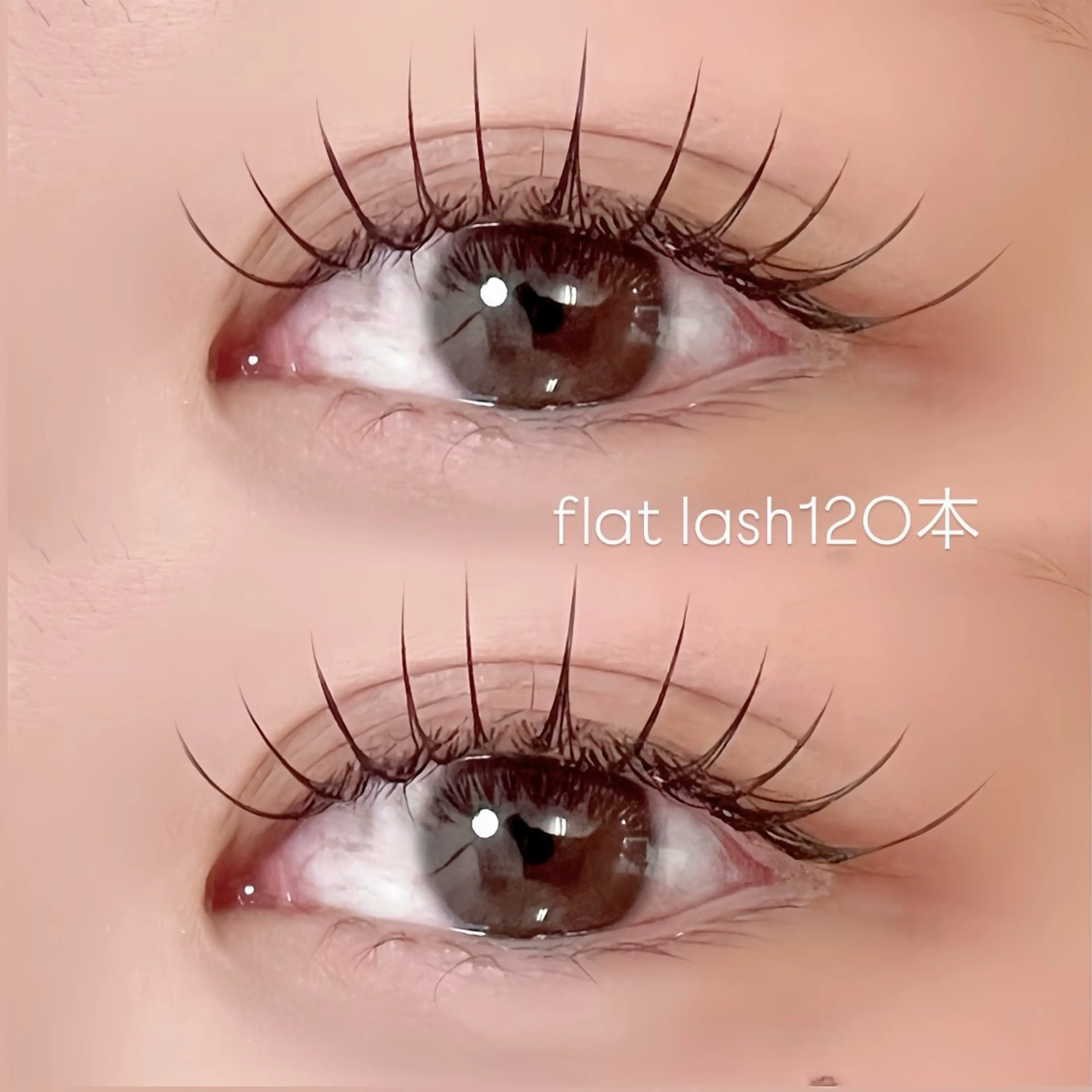 4/30限定価格【フラットラッシュ120本】モチに自信あり💖🇰🇷韓国アイドル束感🇰🇷♪の写真