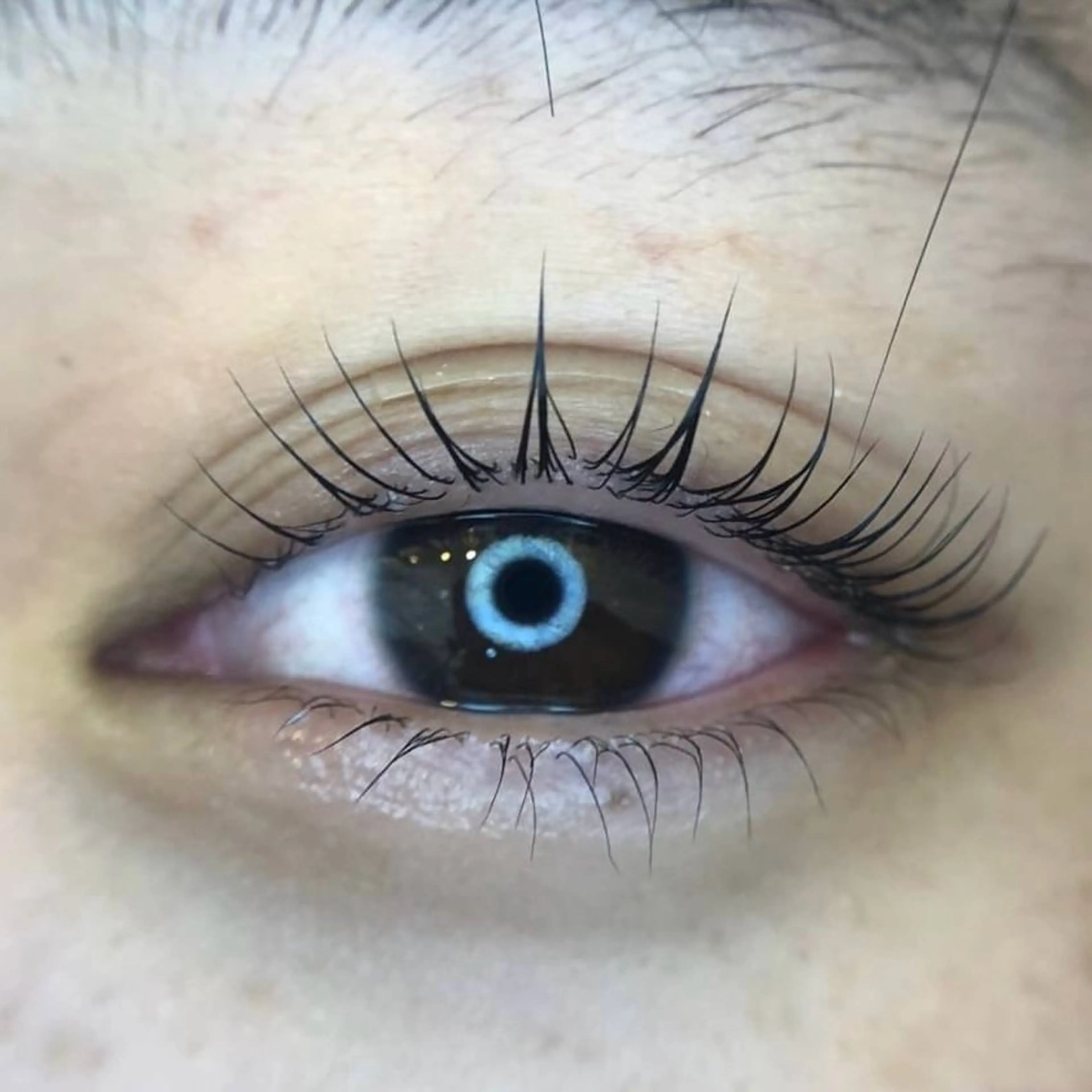 マツエク・マツパ 一重×まつ毛パーマ マツパ メゾンドシャルム NISHIKAWAのマツエク・マツパデザイン