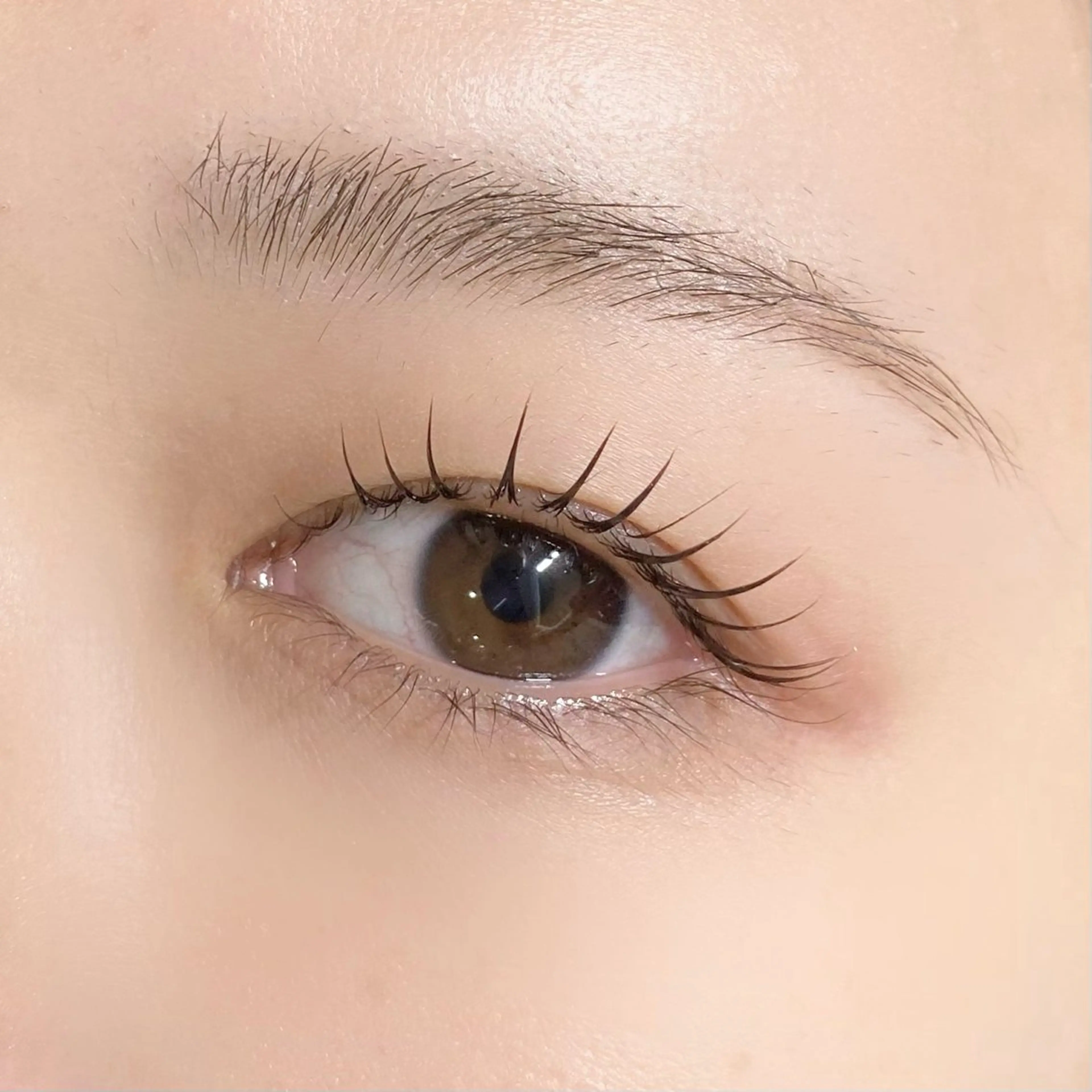 マツエク・マツパ AnD'GRACE 竹中の眉毛・アイブロウイメージ