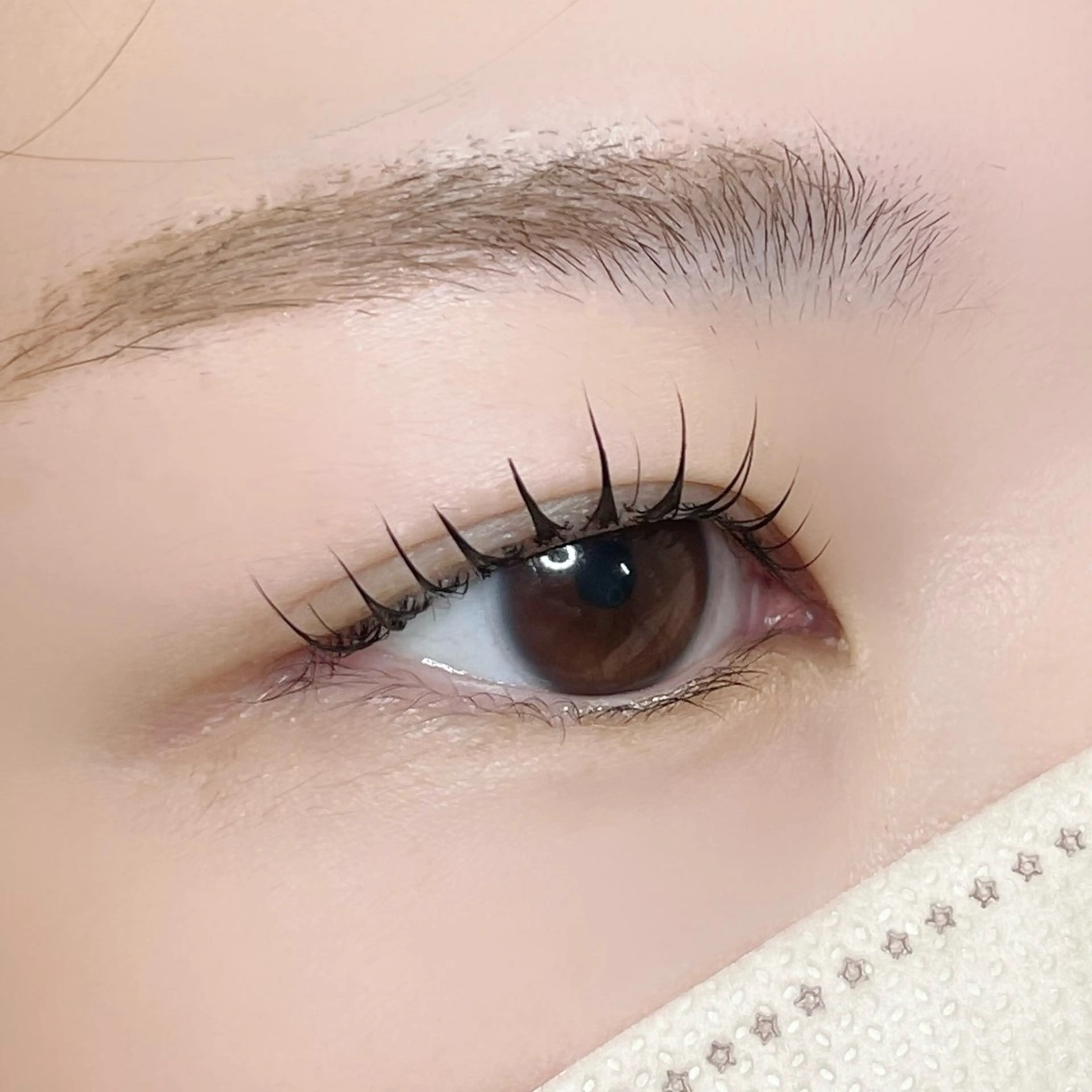 マツエク・マツパ 束感まつ毛 韓国風マツエク イワイ こはるの眉毛・アイブロウイメージ