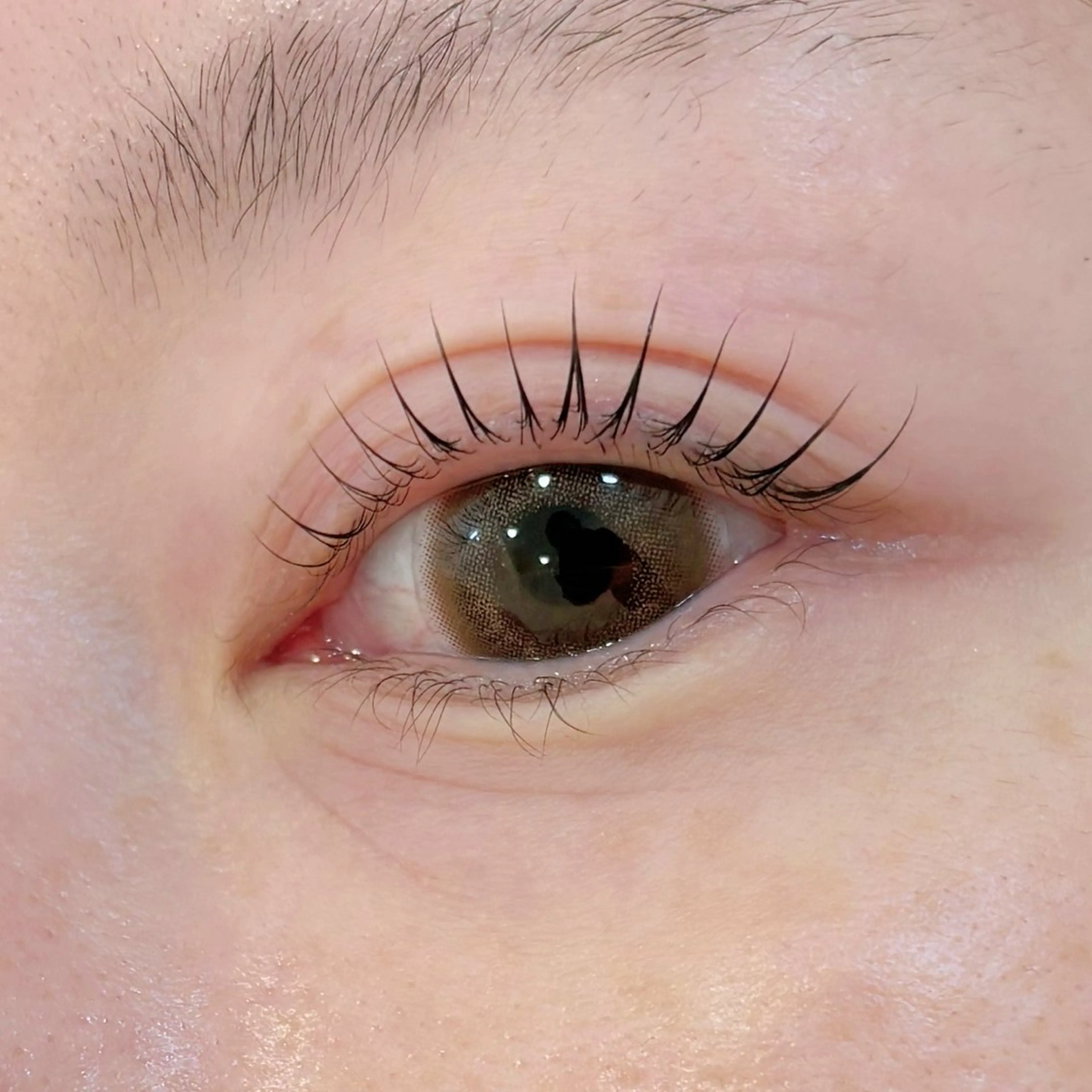 パリジェンヌラッシュリフト🌸高濃度トリートメント&コーティング付(5分前来店必須)の写真