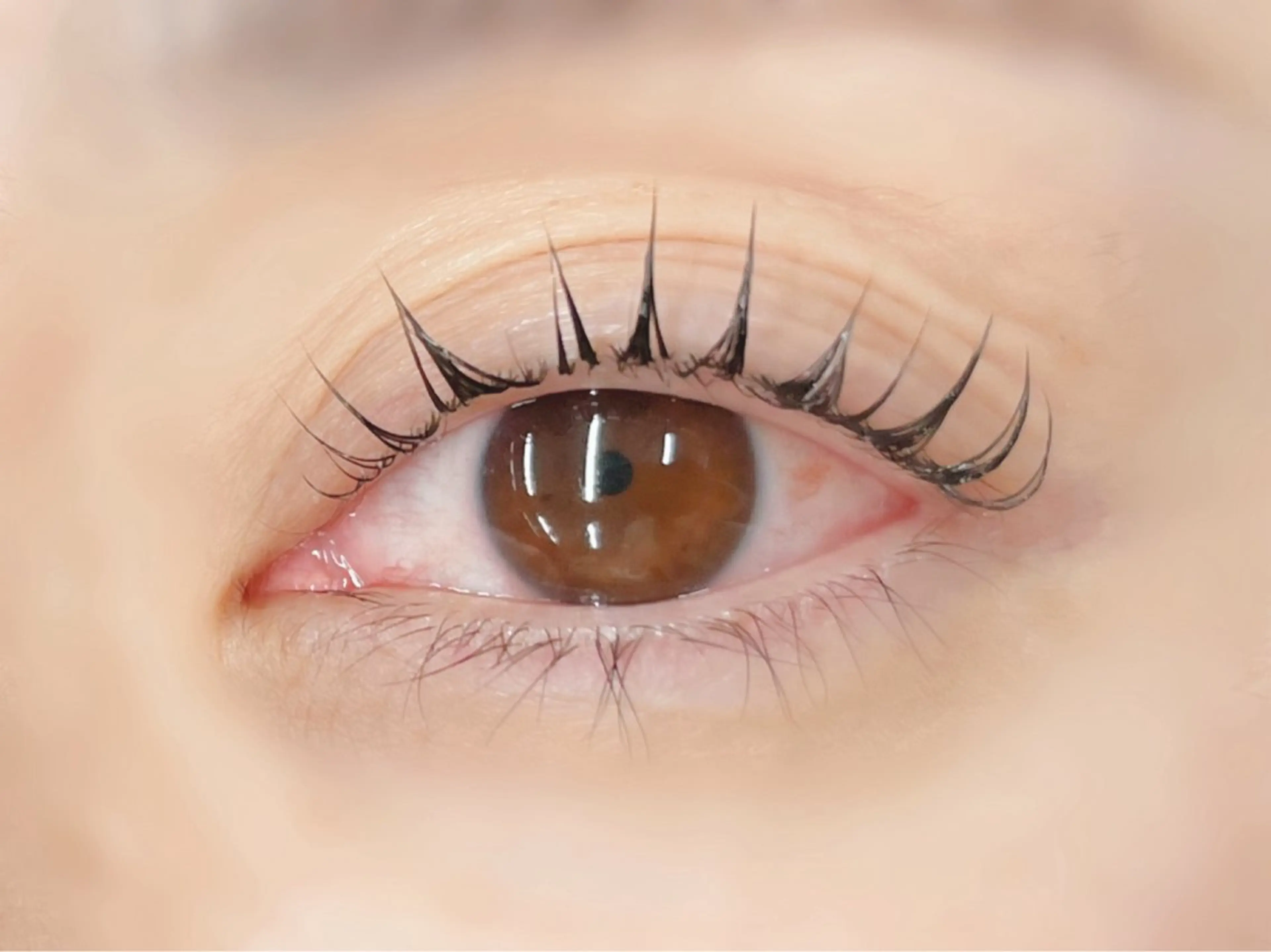 マツエク・マツパ 一重×まつ毛パーマ マツパ 🪼ひとみ🪼半個室 Amour菊川店のマツエク・マツパデザイン