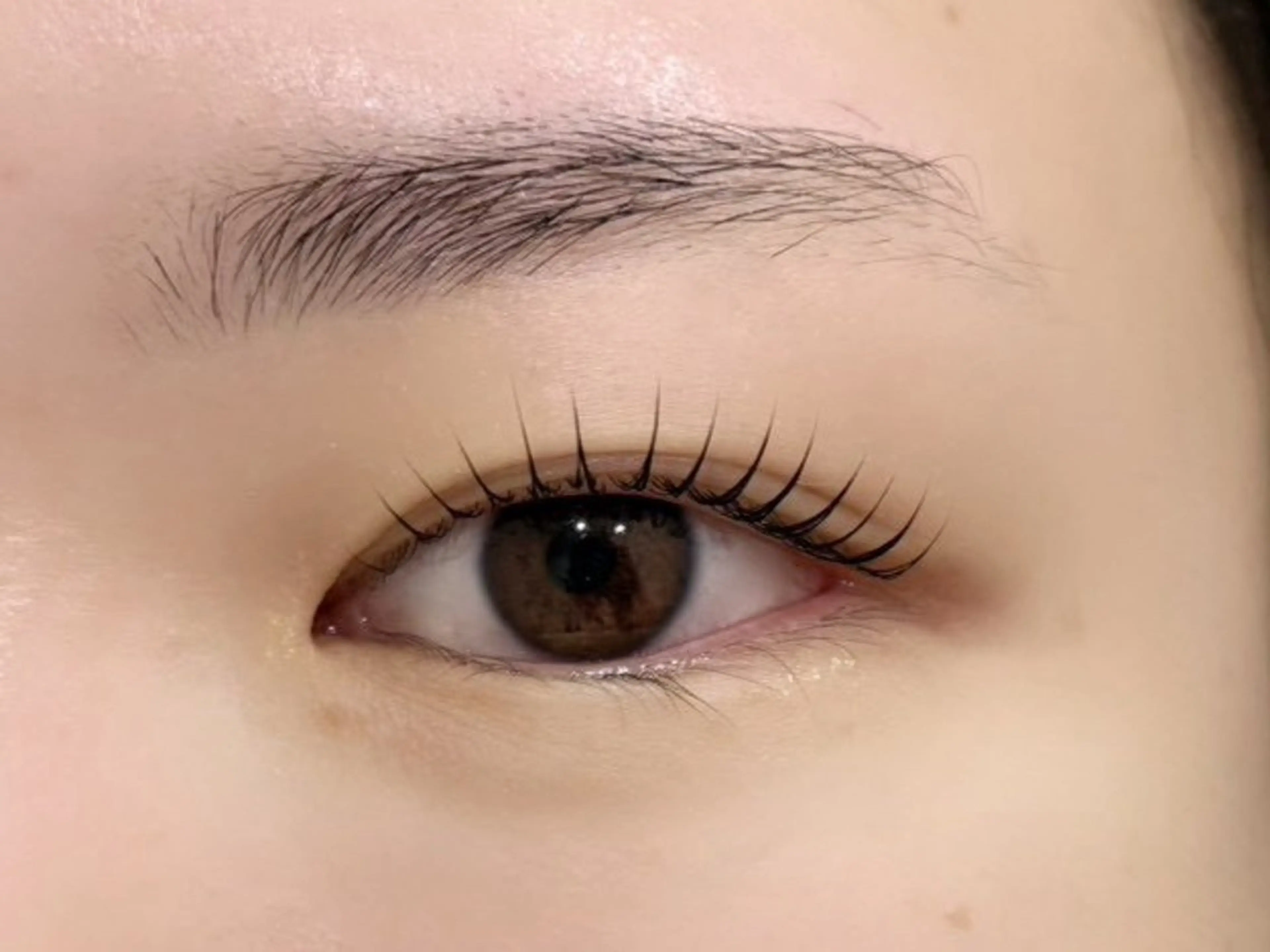 🎀まつげパーマモデル🎀の写真