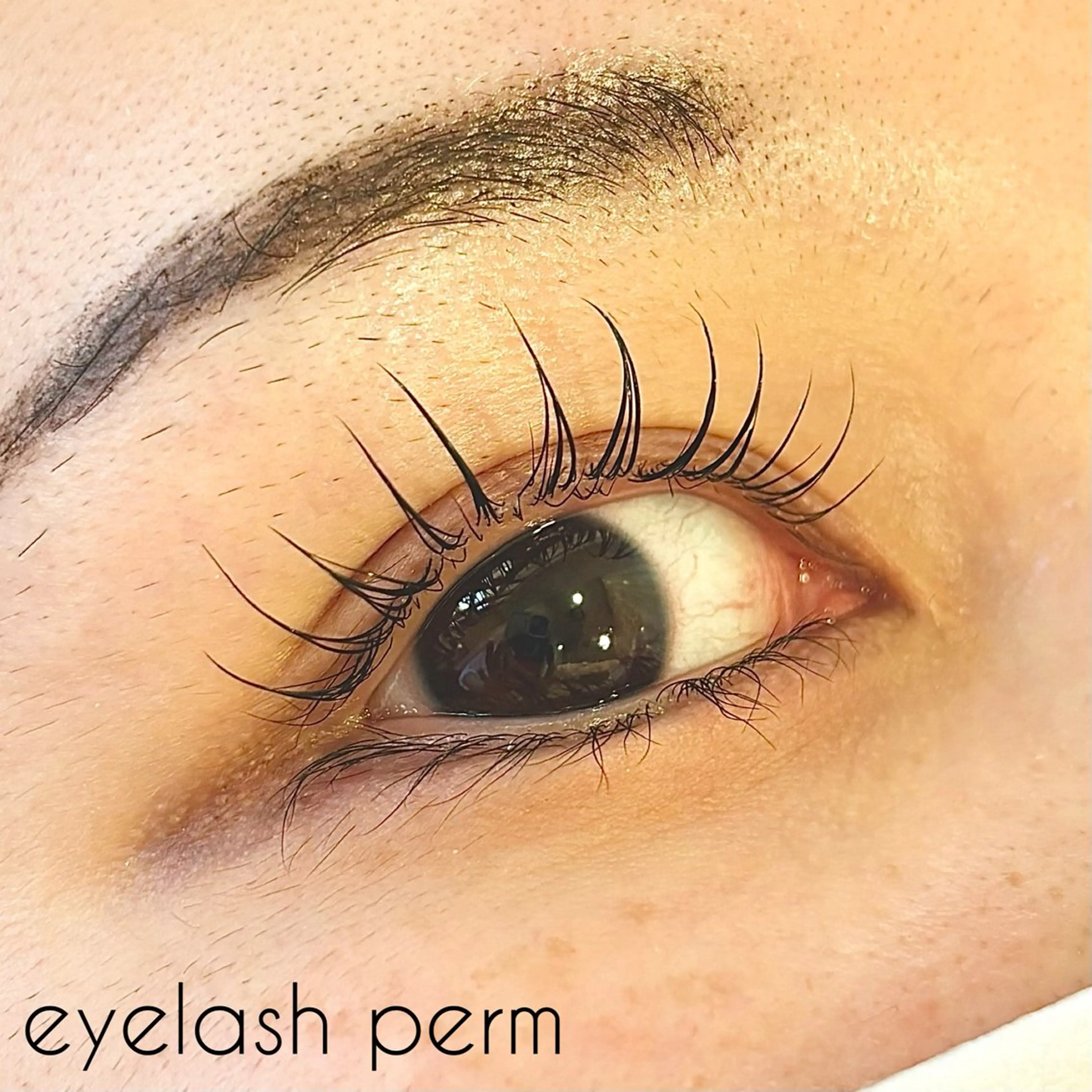 マツエク・マツパ パリジェンヌラッシュリフト ✧elpatio✧︎ 小出紗羅のマツエク・マツパデザイン