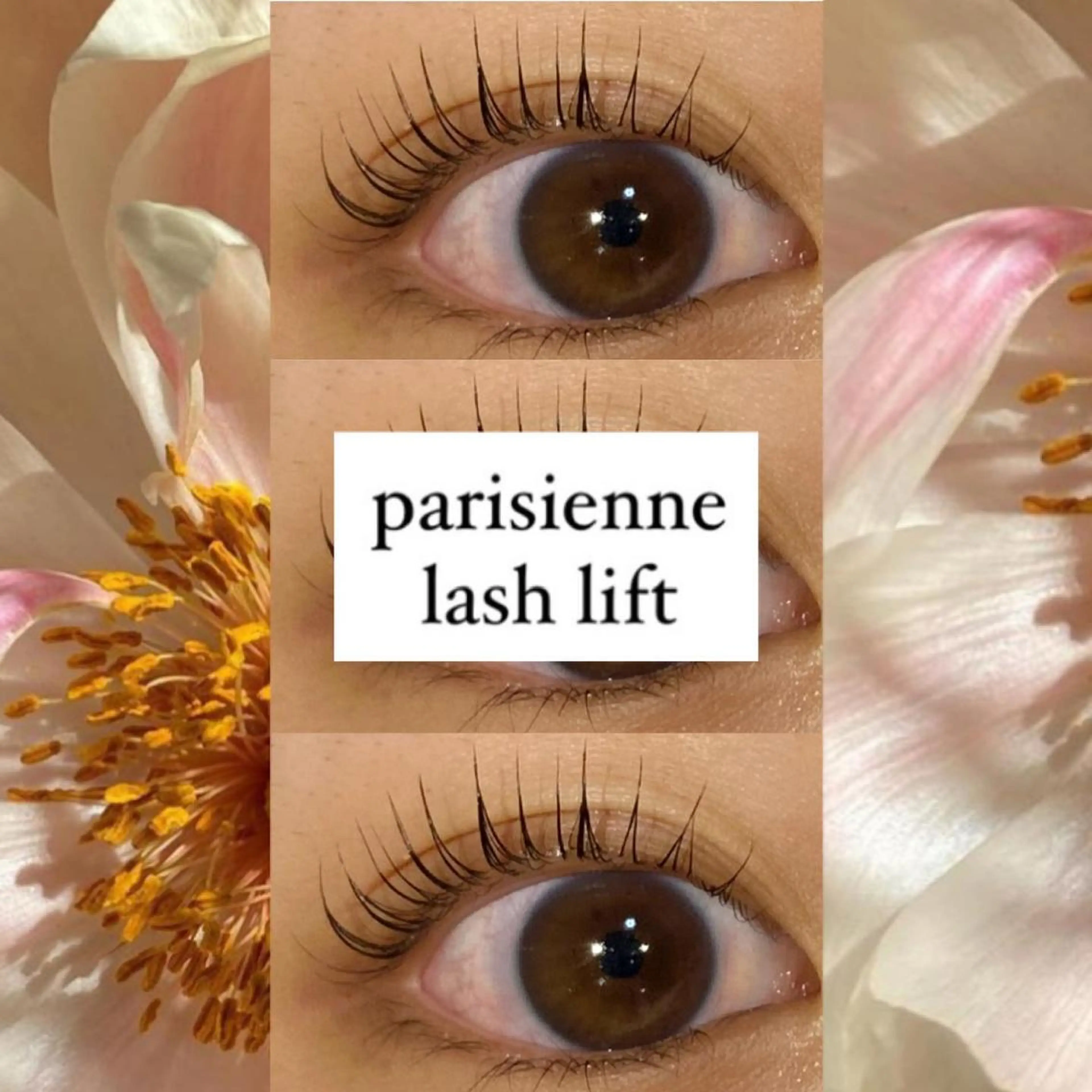 マツエク・マツパ ブラウンラッシュ 束感まつ毛 カラーマツエク フラットラッシュ 韓国風マツエク orihara𐙚 まつげパーマ/眉毛のマツエク・マツパデザイン