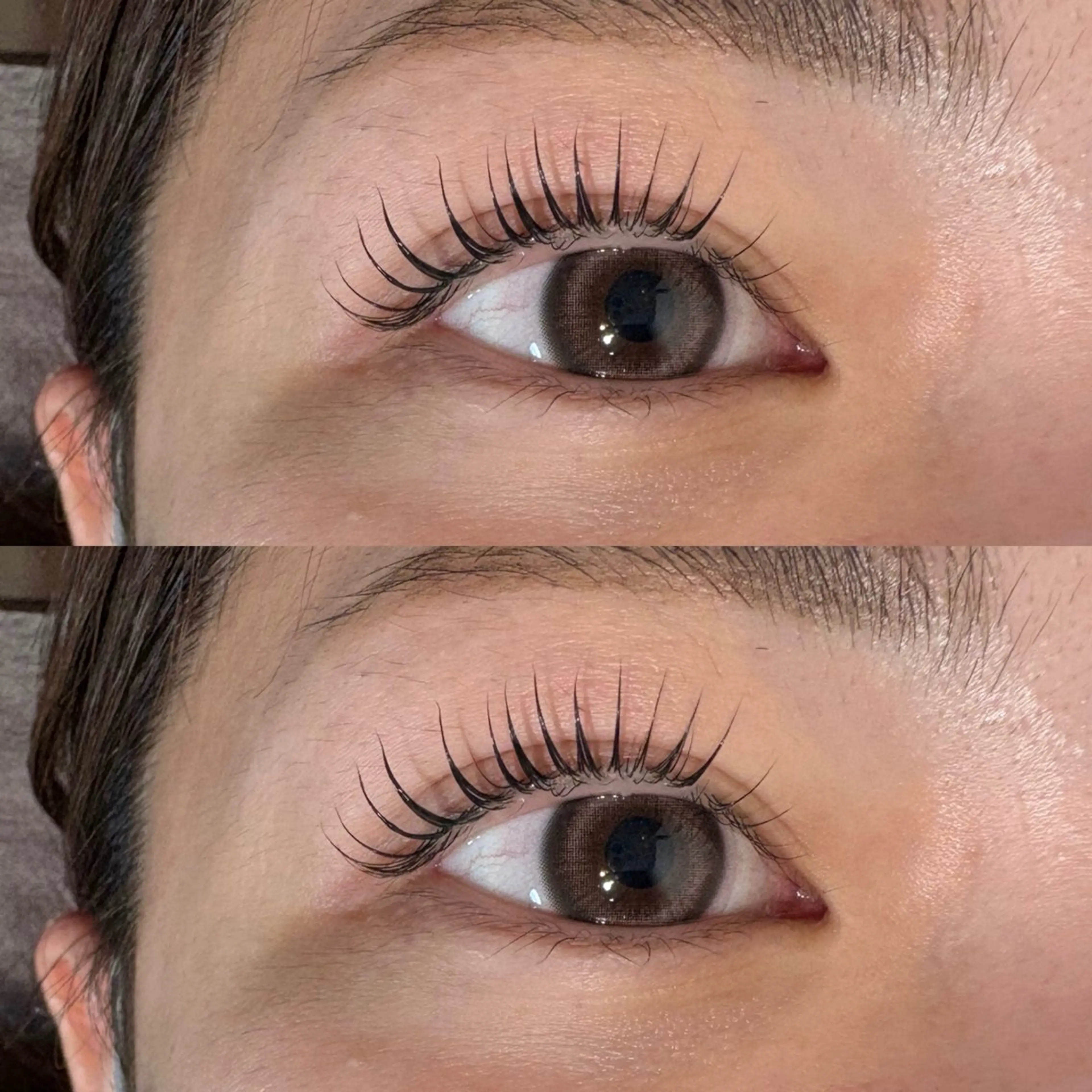 14.15日限定️🎀まつ毛パーマ️🫧コーティング込み 土日祝日➕550円の写真