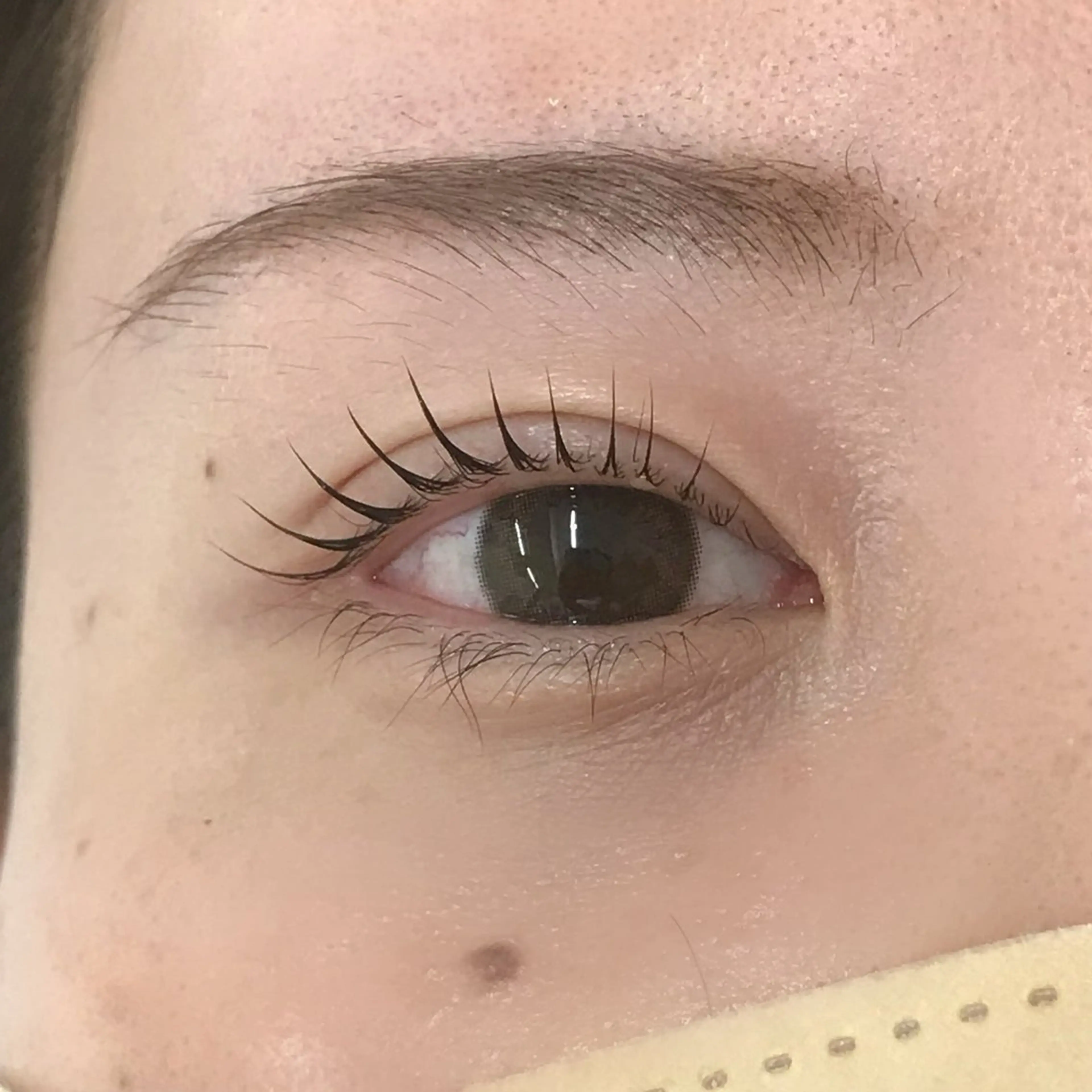 マツエク・マツパ uland yuzukiの眉毛・アイブロウイメージ