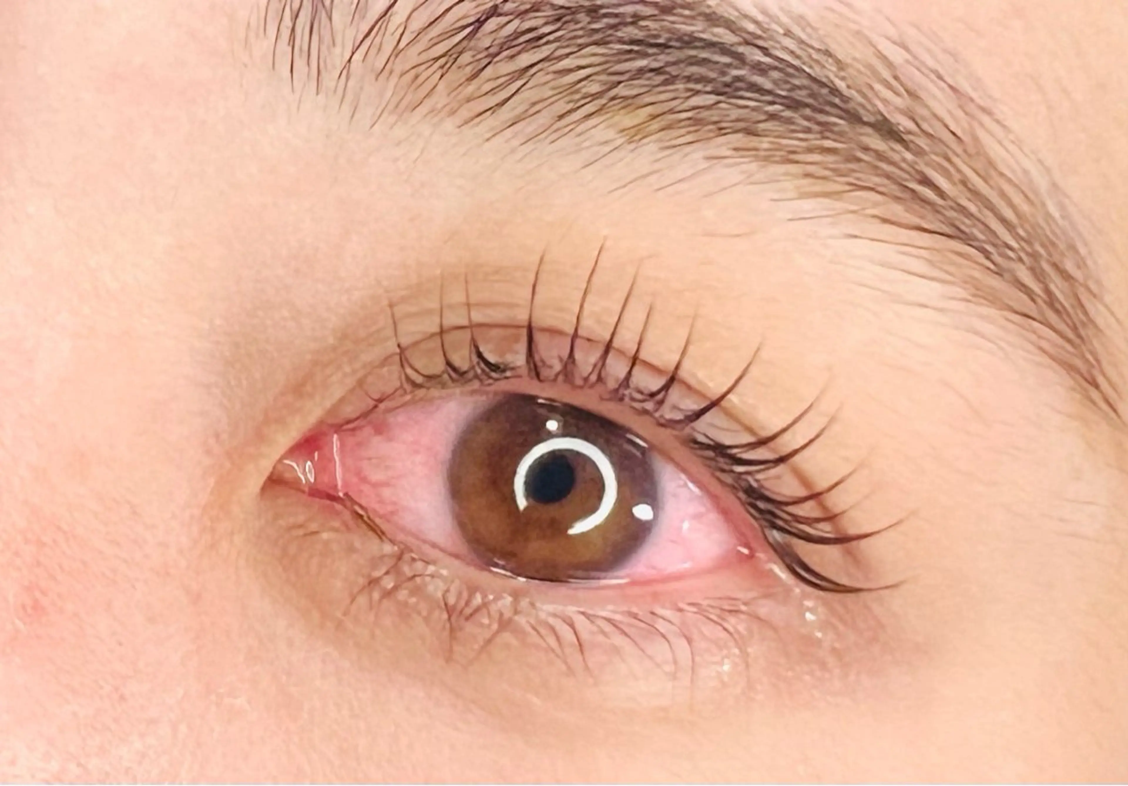 マツエク・マツパ ikoi yukaのヘアスタイル