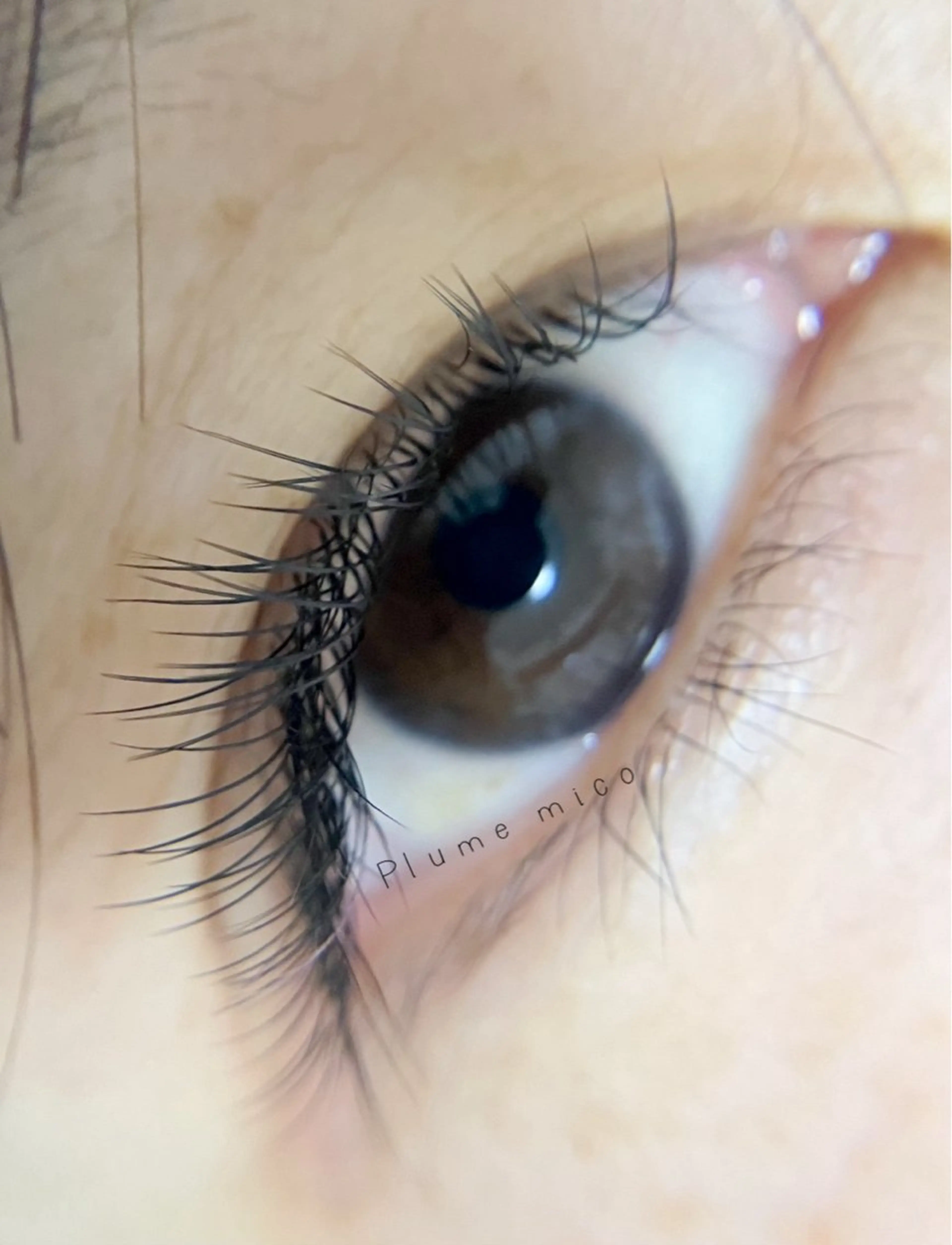 マツエク・マツパ Cカール フラットラッシュ ナチュラル マツエク Plume micoのマツエク・マツパデザイン