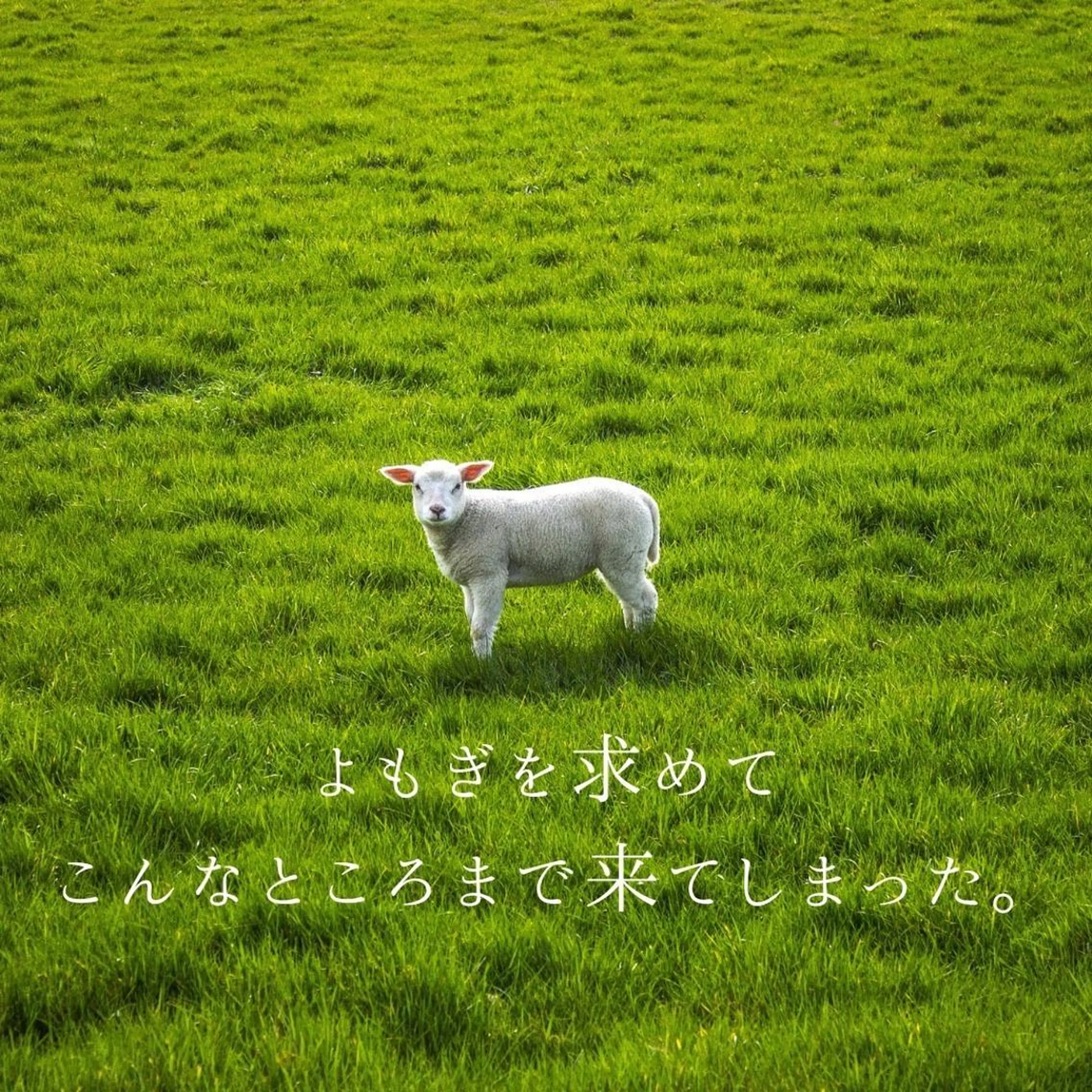 ミディアム カラー パーマ ヘアアレンジ メンズ キッズ ネイル マツエク・マツパ アイブロウ 春ネイル ニキビ・肌質改善専門 ♡人生が変わるサロンのエステ・リラクイメージ