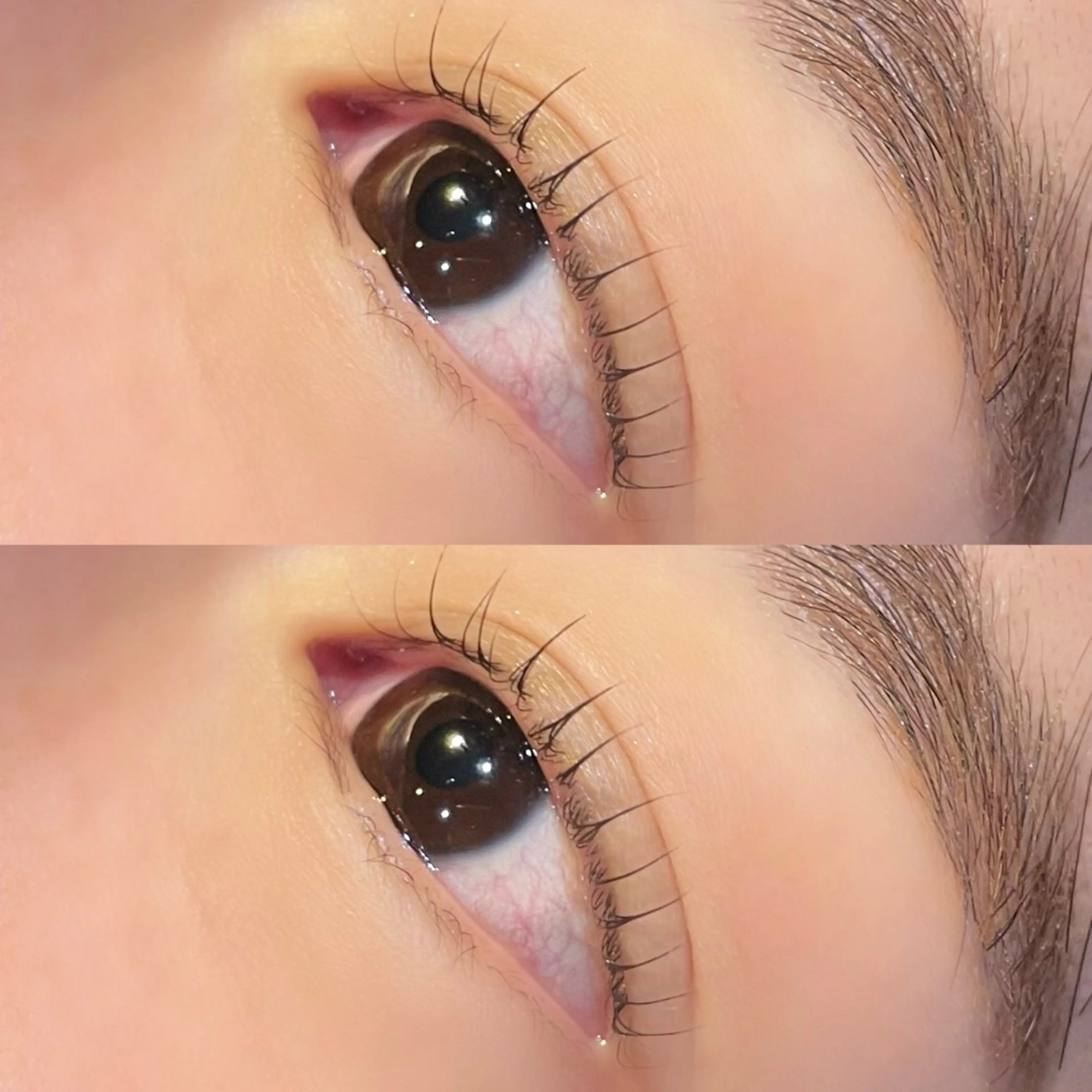 マツエク・マツパ マツパ Rena 泉中央のマツエク・マツパデザイン