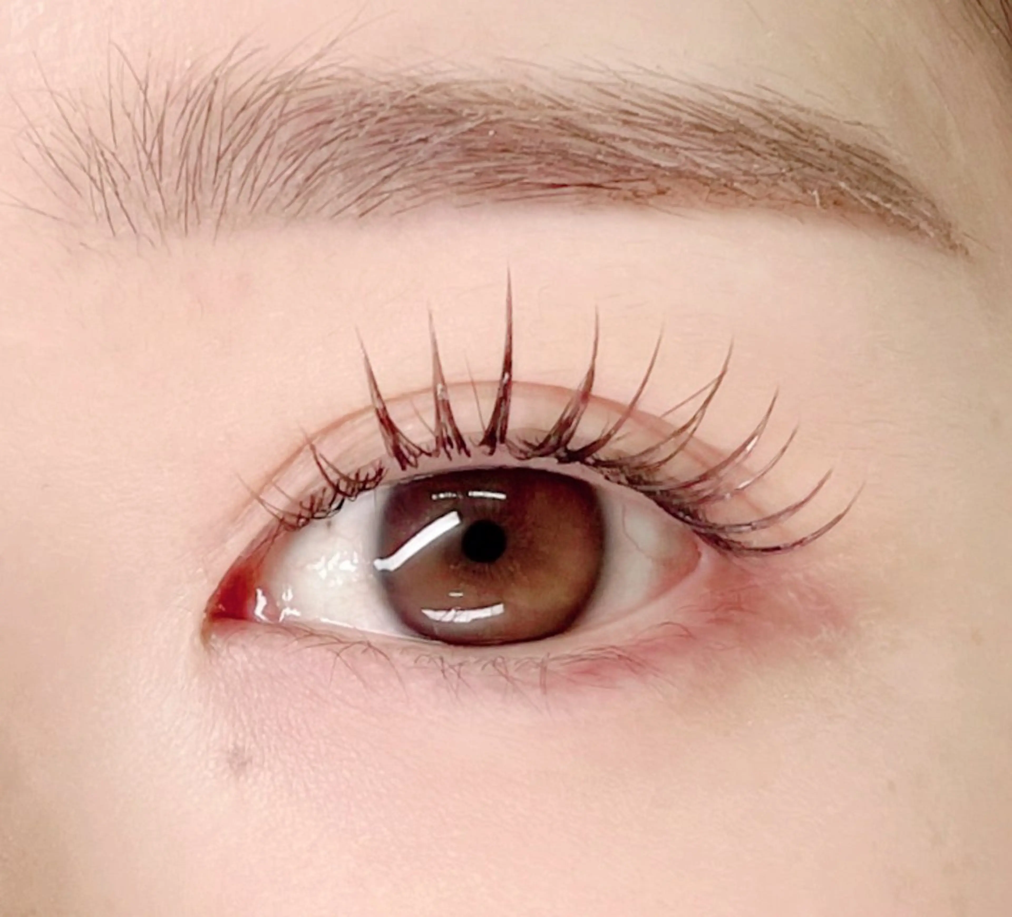 マツエク・マツパ GO TODAY シェアサロン 銀座Eclara店所属・mihiro 🐈⬛の眉毛・アイブロウイメージ