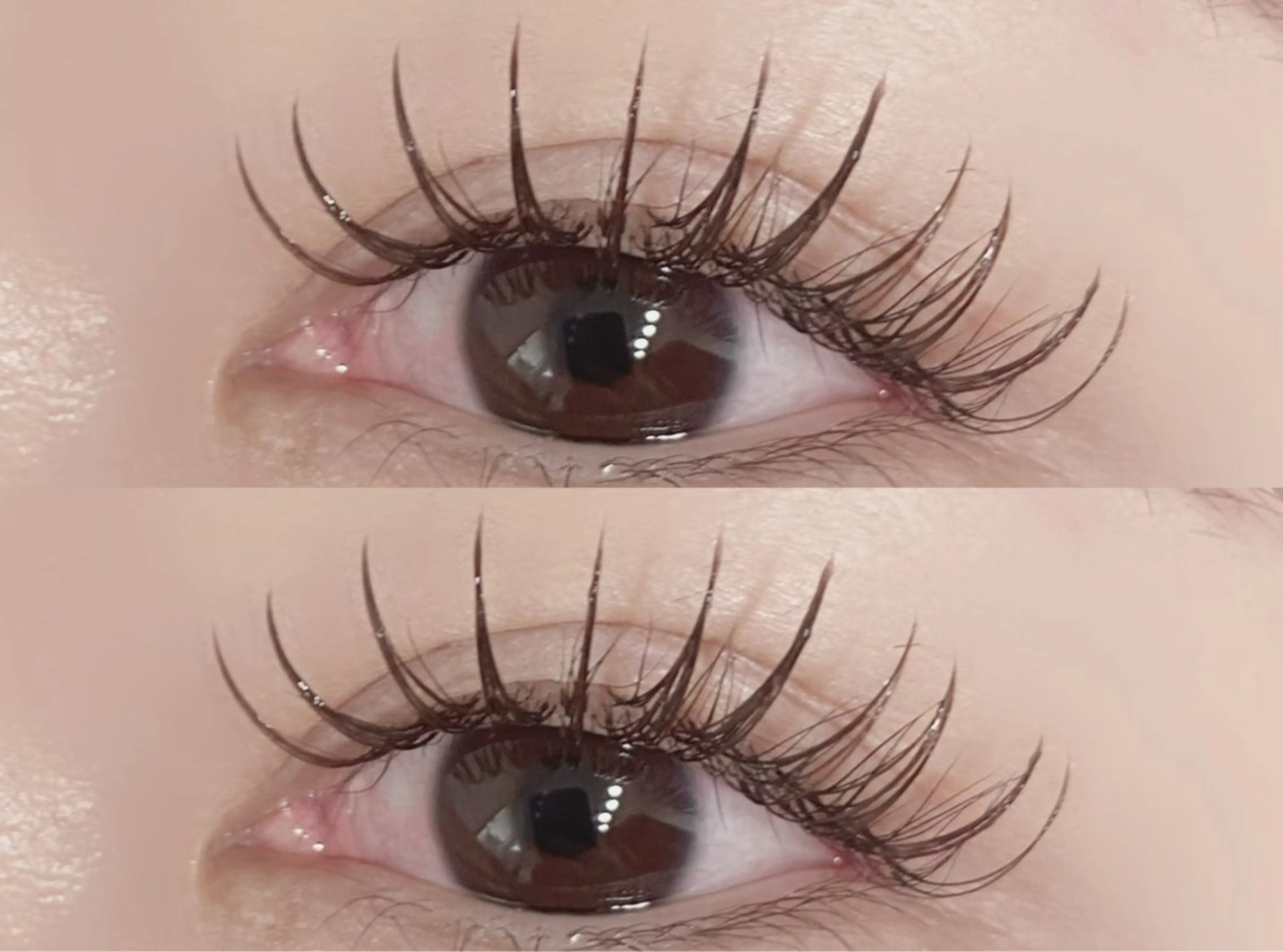 マツエク・マツパ 束感まつ毛 カラーマツエク フラットラッシュ マツエク 💎マツエク/眉毛 パリジェンヌ渋谷💎のマツエク・マツパデザイン